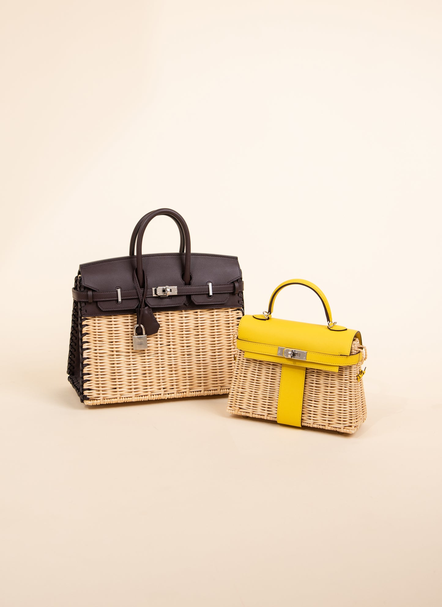 Birkin 25 Picnic in Rouge Sellier with Silver Hardware