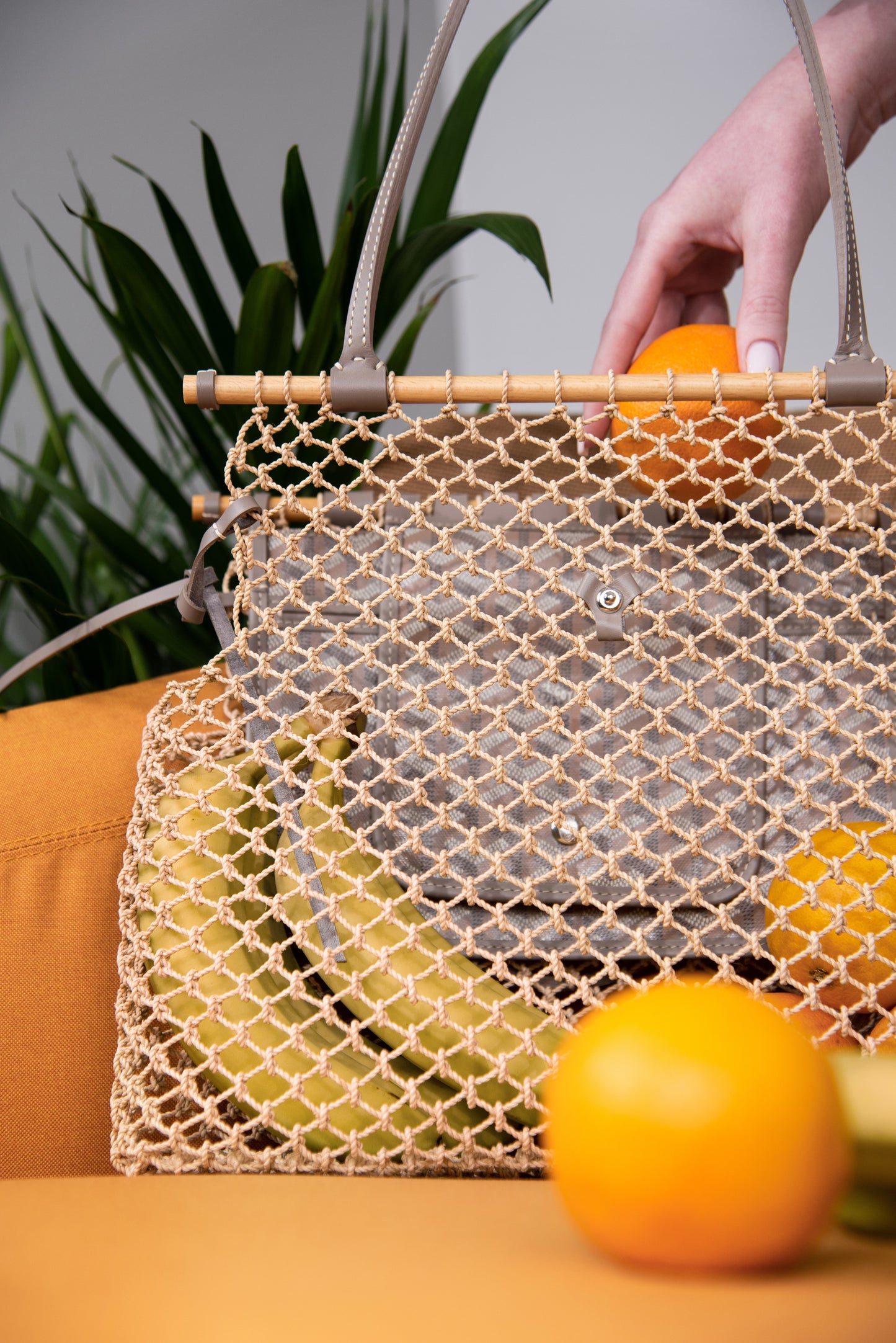Goyard Aligre Bag