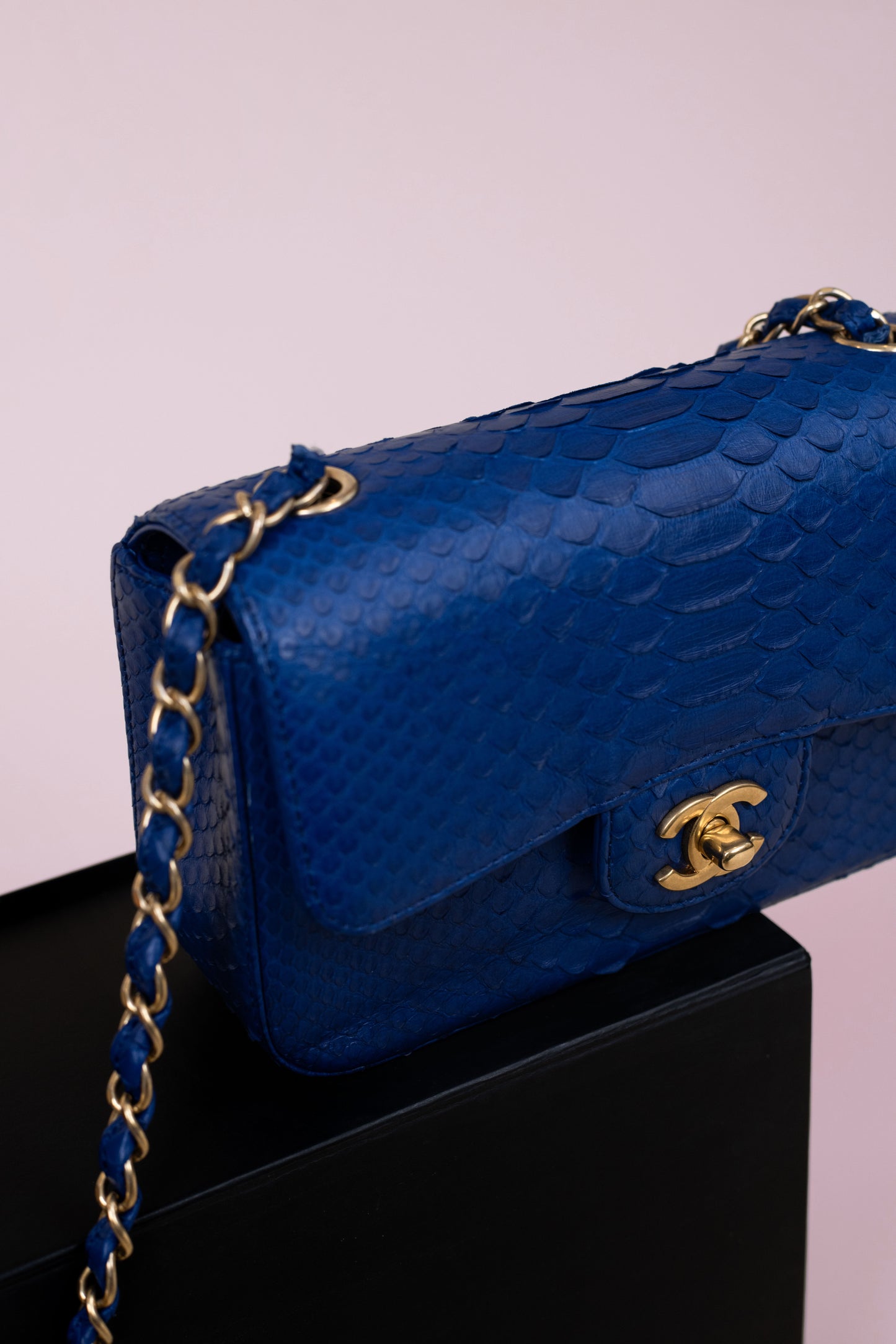 Chanel Mini Python Flap Bag in Royal Blue