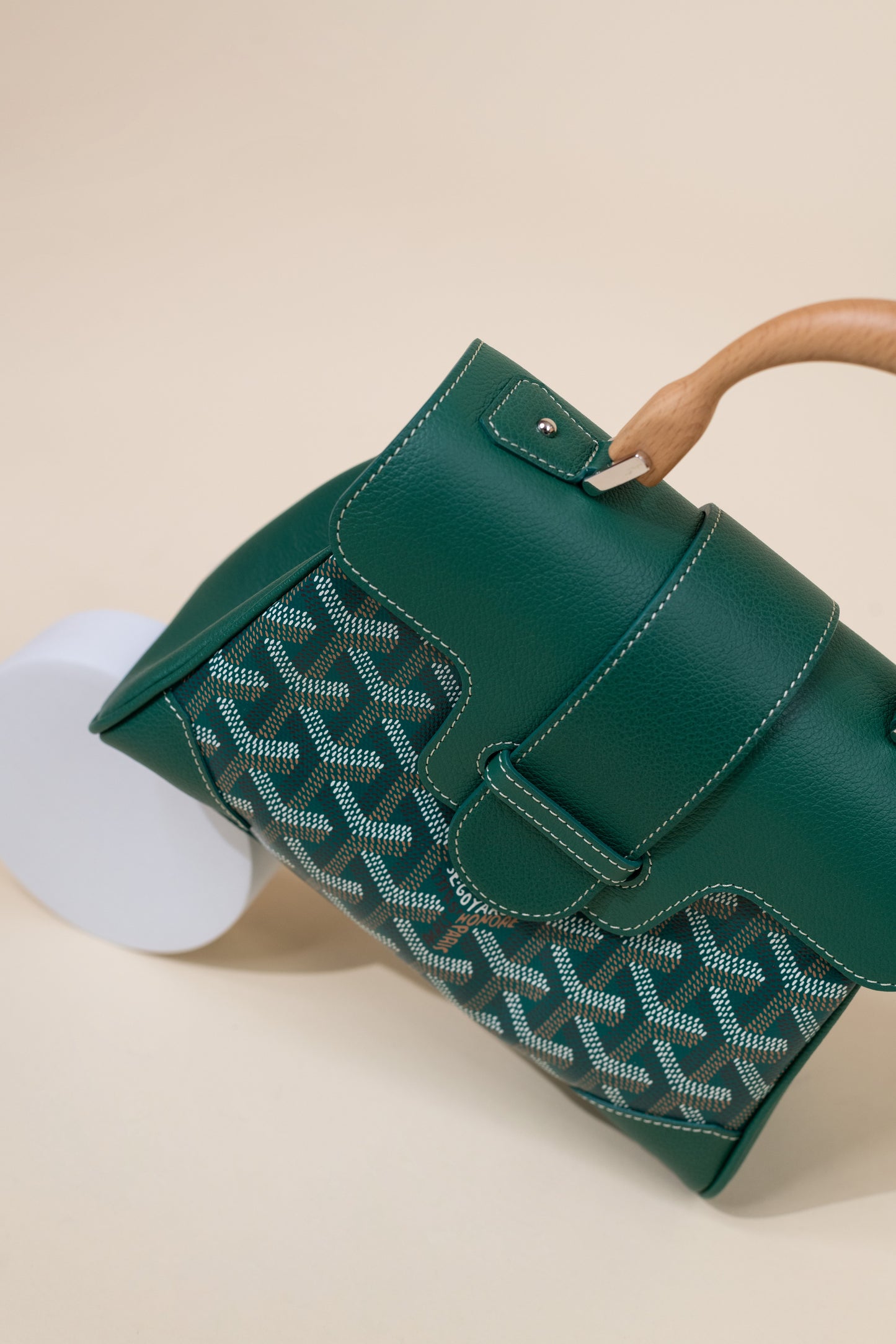 Goyard Mini Saigon in Green