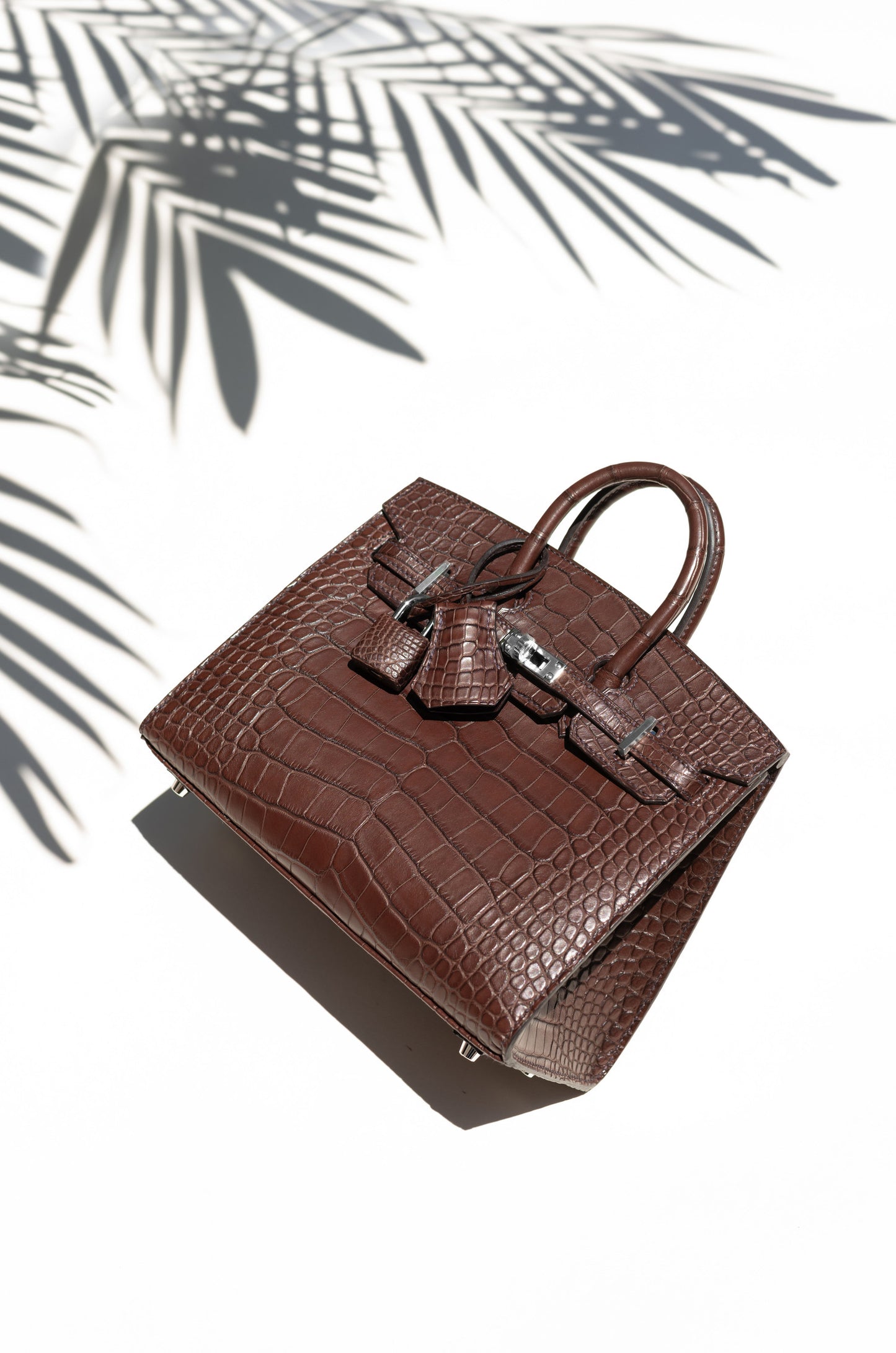 Hermès Birkin 20 Matte Alligator in Havane PHW