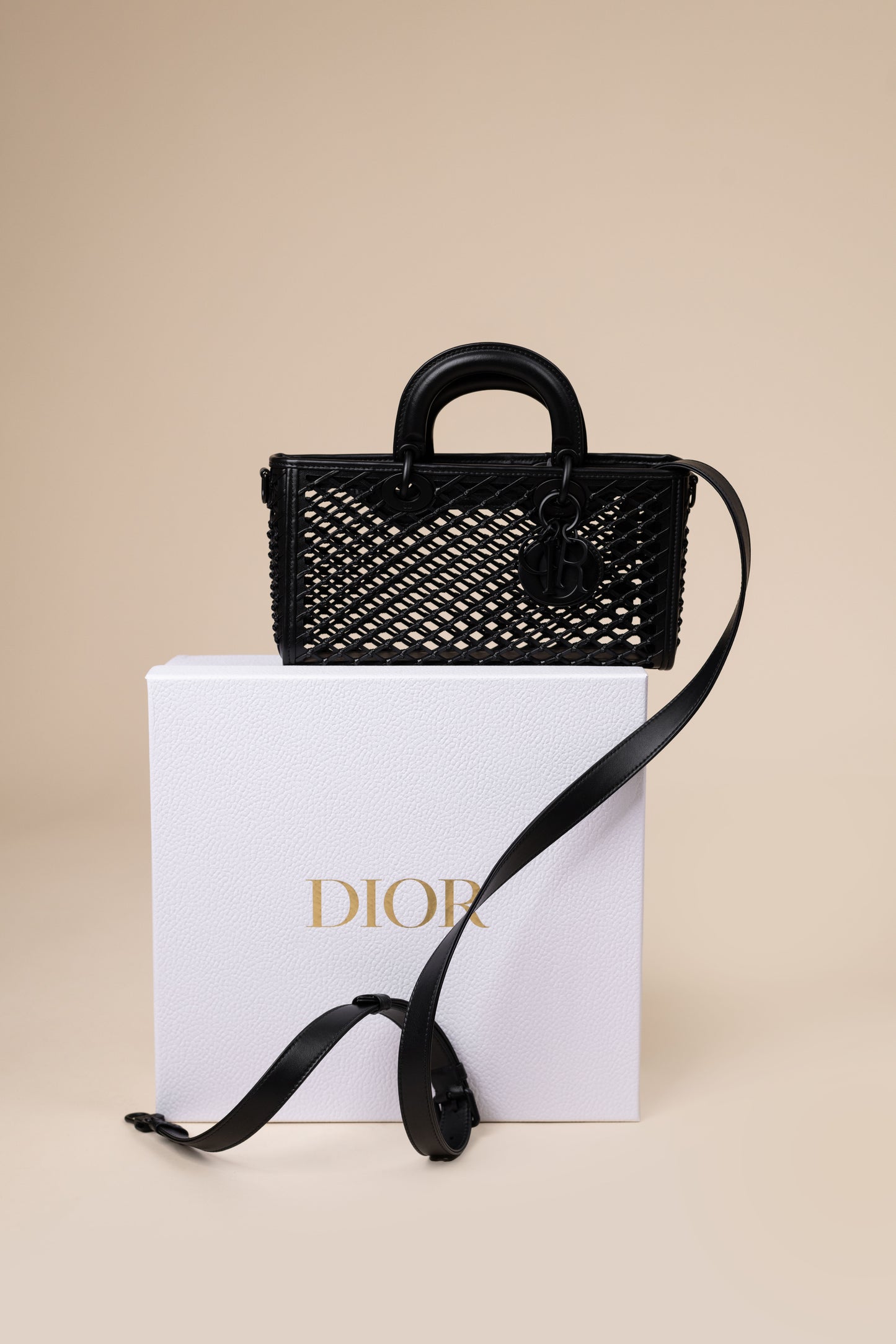Dior Medium D-Joy Black Bag with BHW