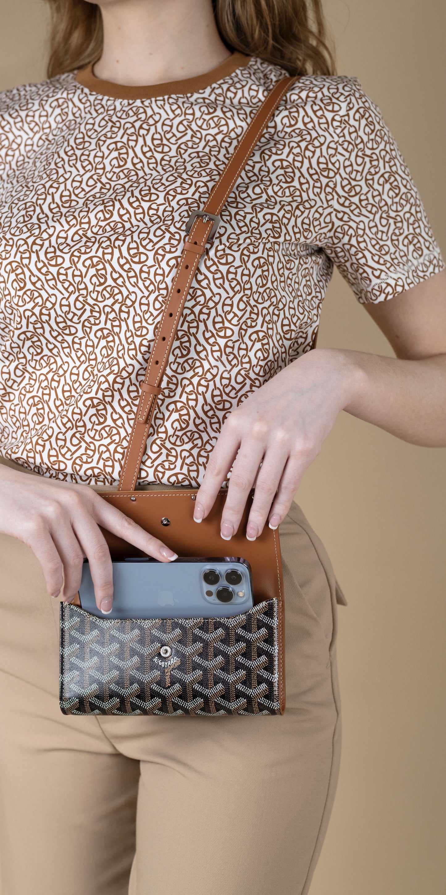 Goyard Monte Carlo Wallet in Tan/Black