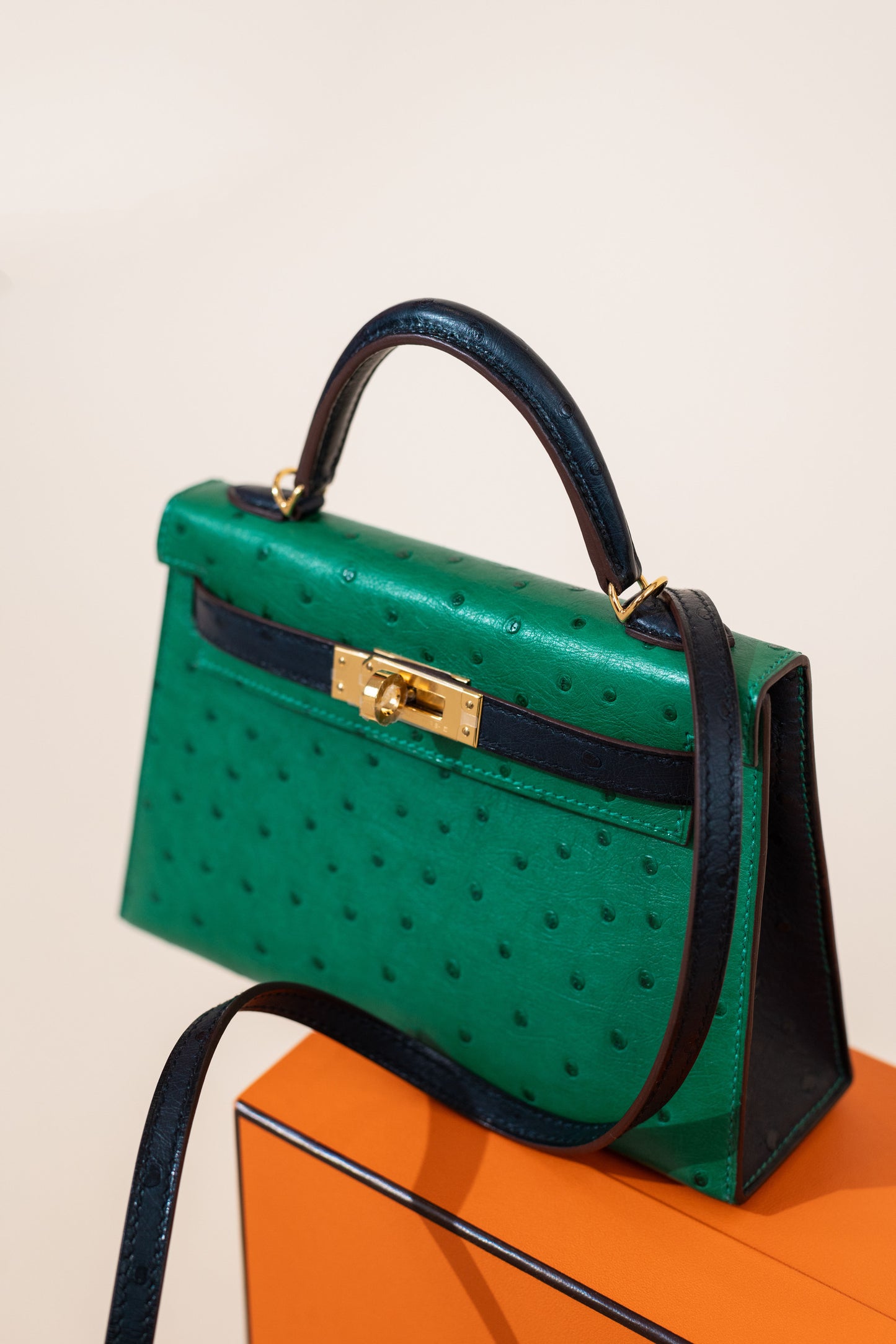 هيرميس HSS Mini Kelly 20 Ostrich Vert Vertigo/Blue Iris GHW