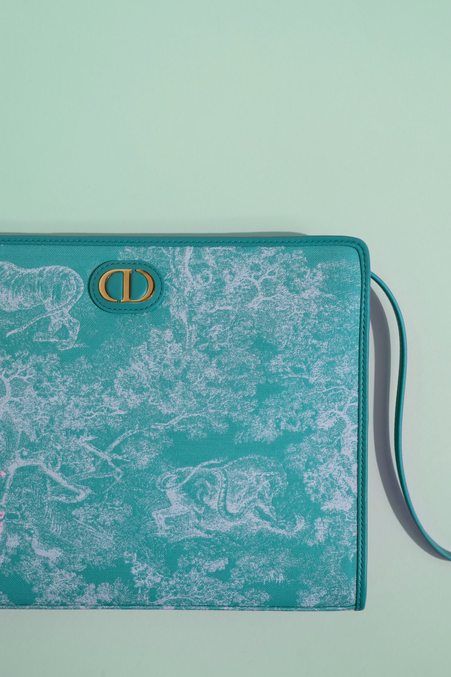 Dior Dioriviera Pouch