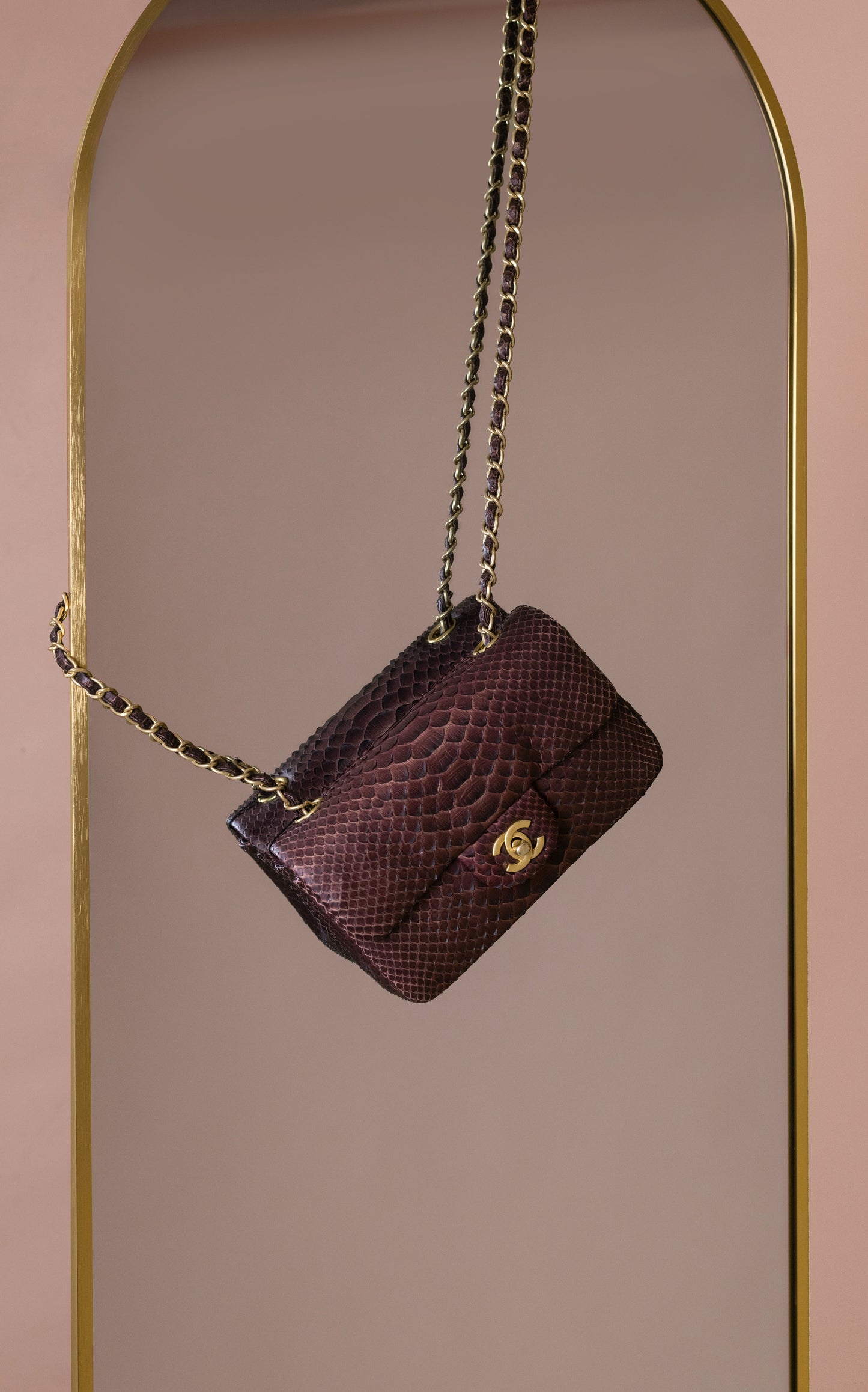 Chanel Mini Matte Python Flap Bag in Burgundy