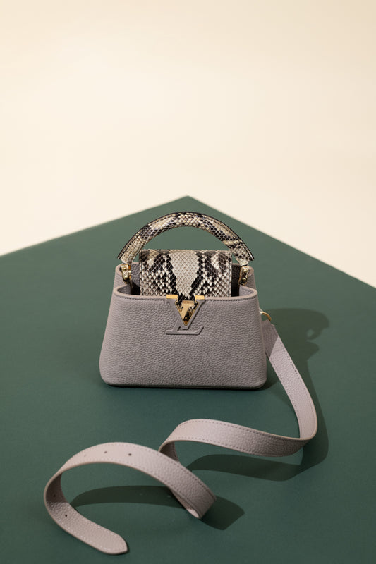 لويس فويتون ميني كابوسين بايثون