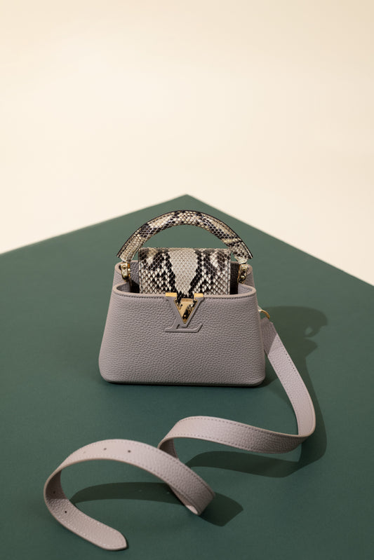 لويس فويتون ميني كابوسين بايثون