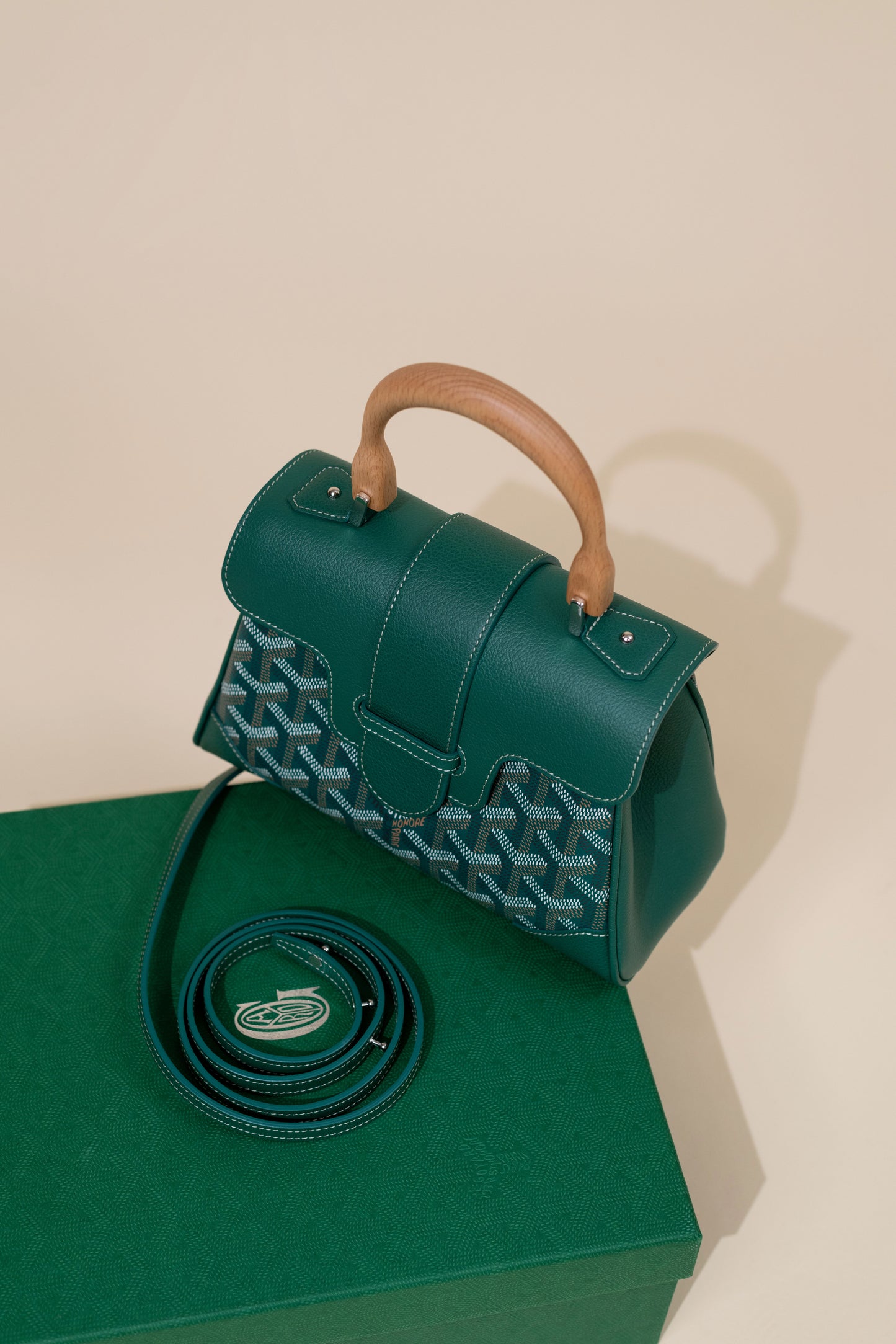 Goyard Mini Saigon in Green