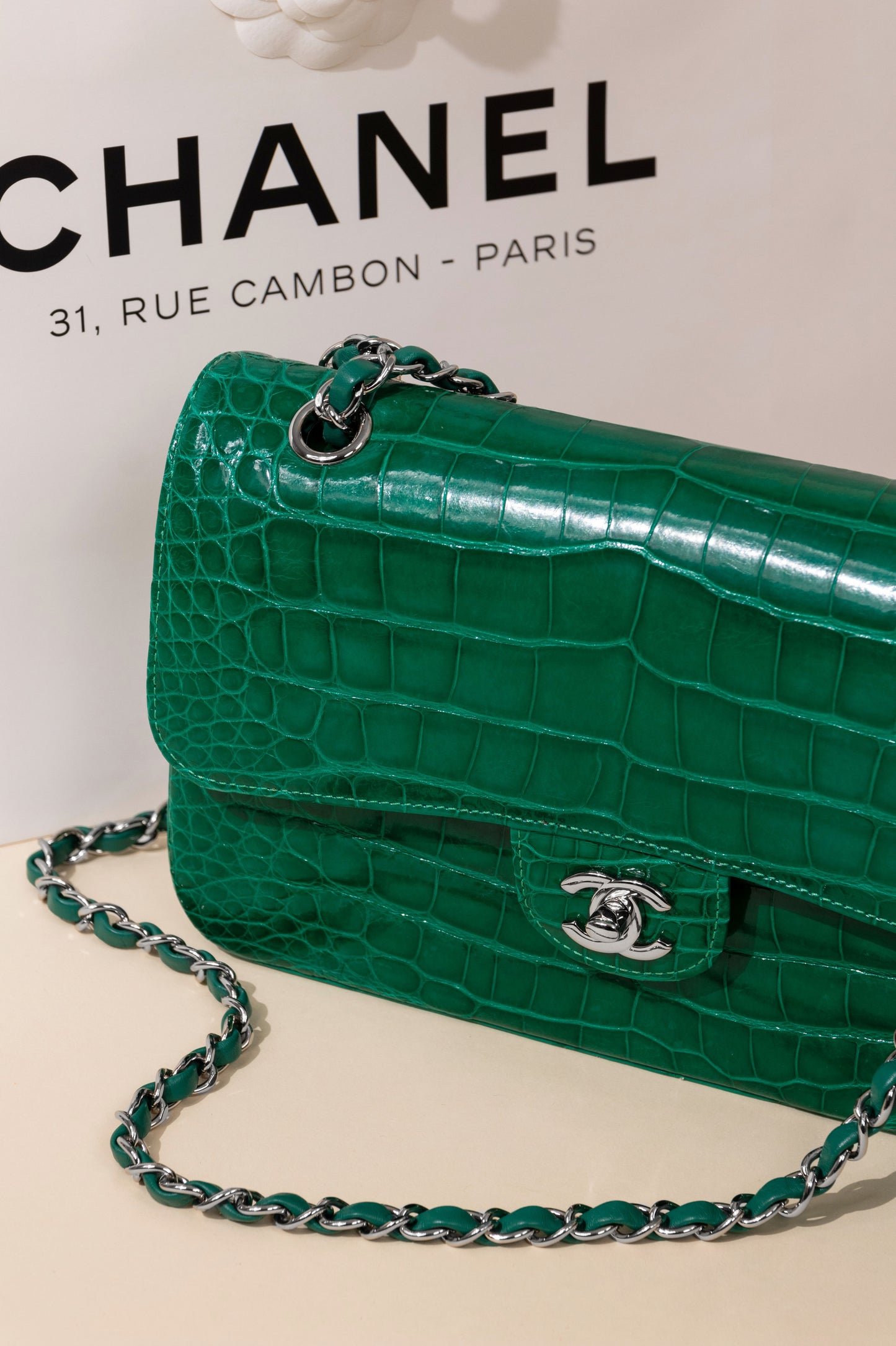 Chanel Medium Alligator Double Flap Bag in Green