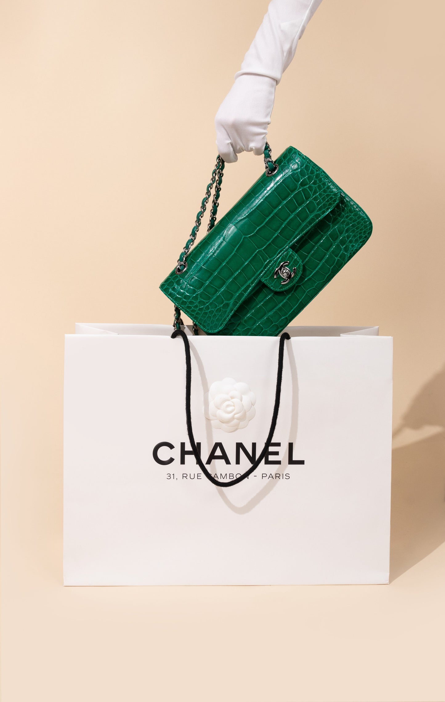 Chanel Medium Alligator Double Flap Bag in Green