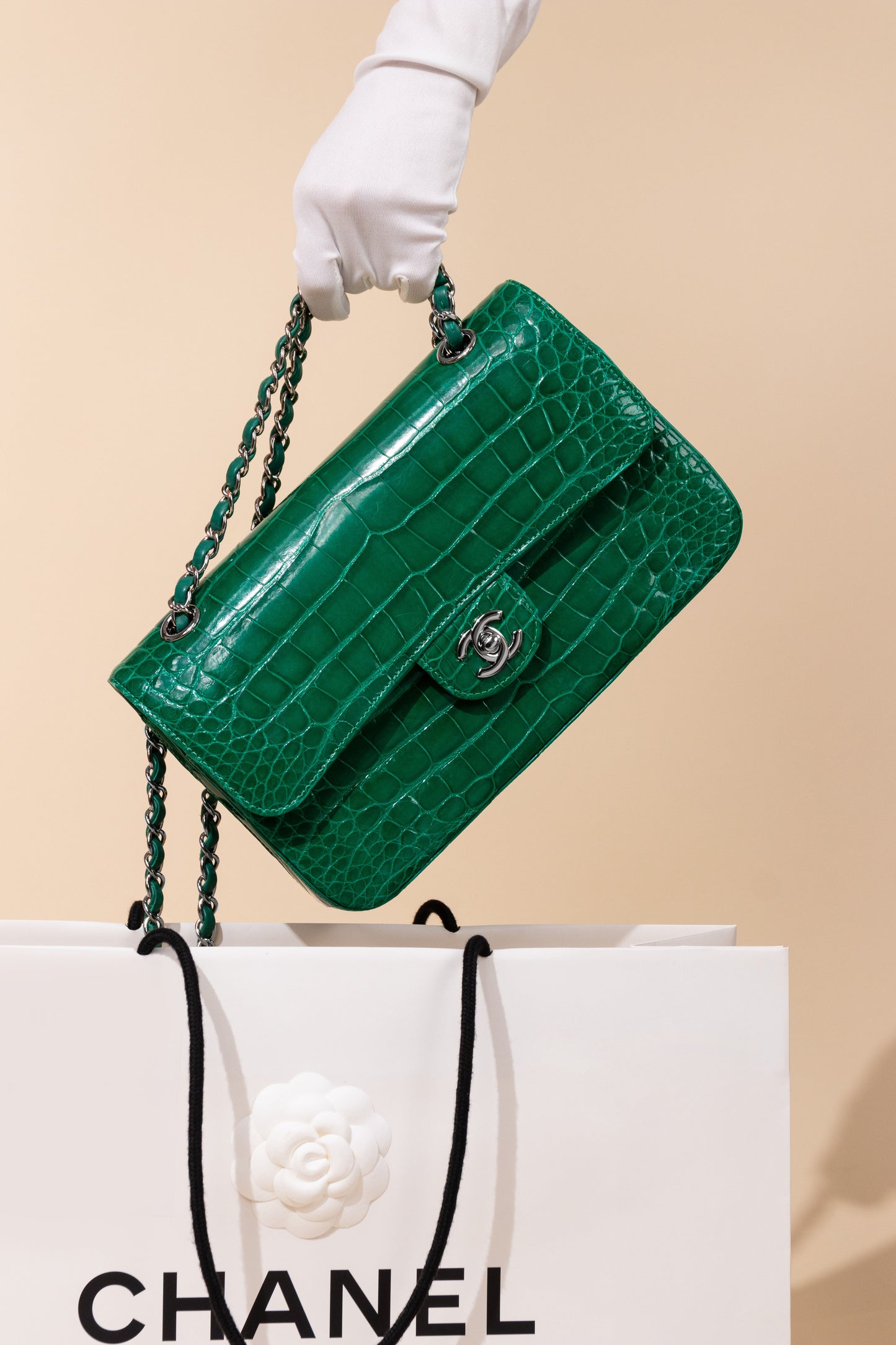 Chanel Medium Alligator Double Flap Bag in Green