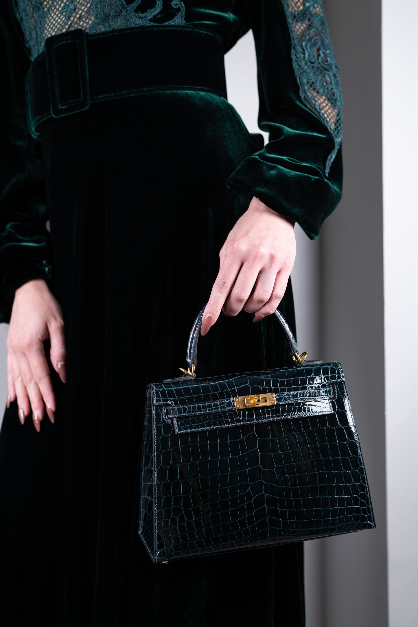 Hermès Kelly 25 Shiny Crocodile Vert Cypress with Costarellos Dark Green Velvet Gown