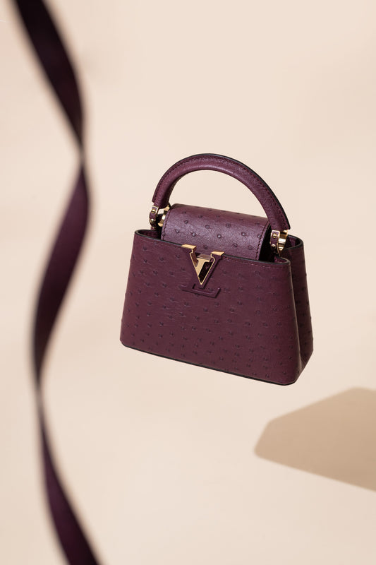 Louis Vuitton Mini Capucine Ostrich Burgundy
