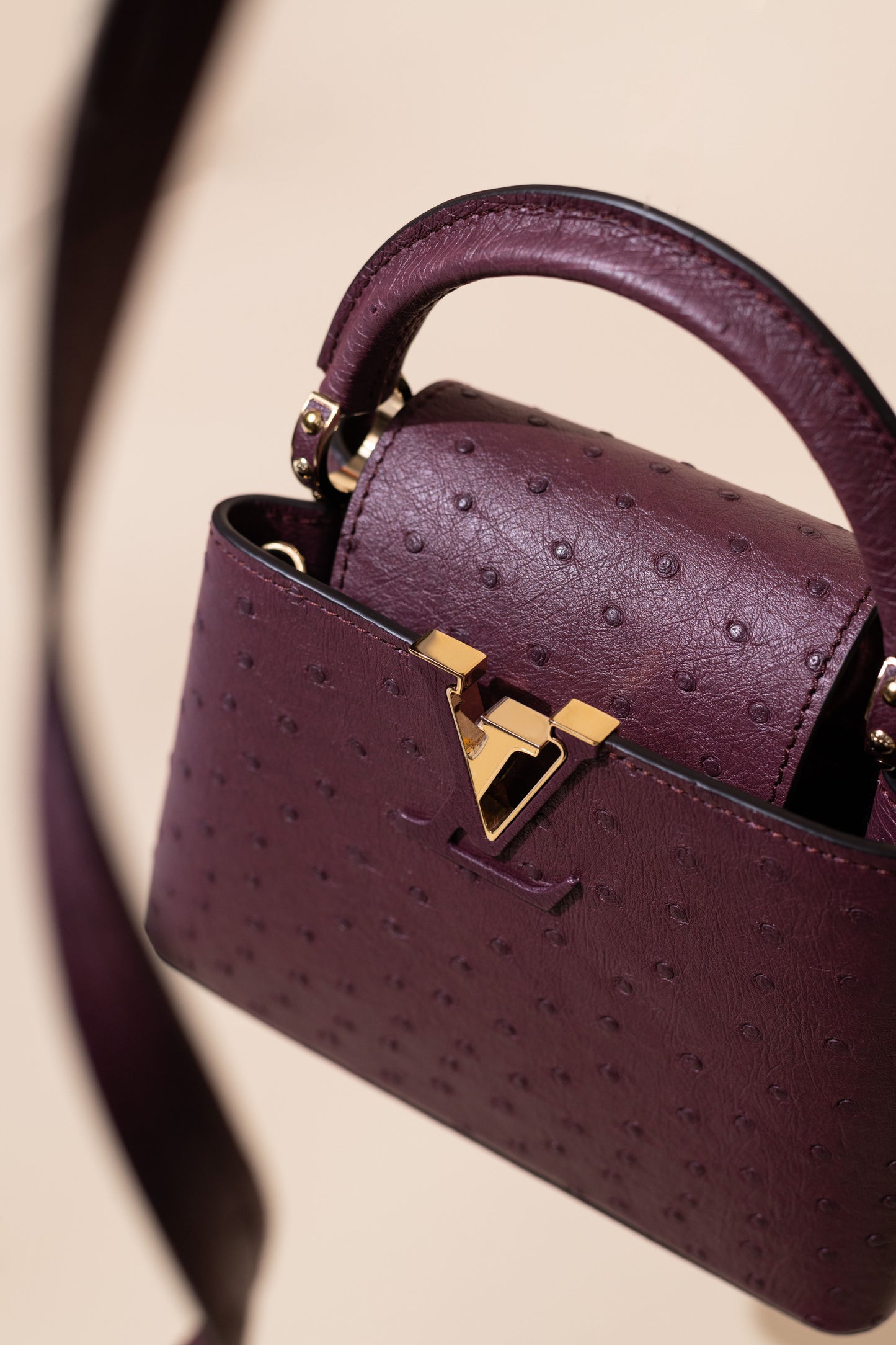 Louis Vuitton Mini Capucine Ostrich Burgundy