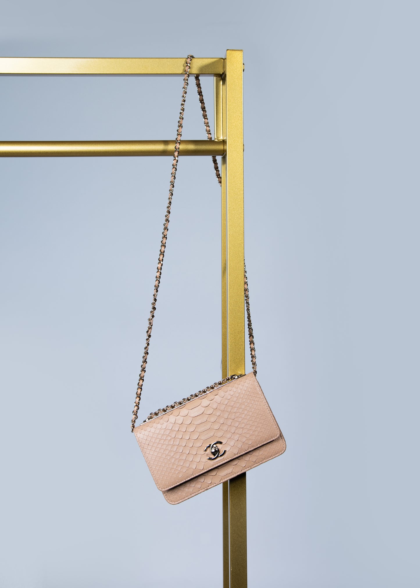 Chanel Python Wallet Beige on Chain