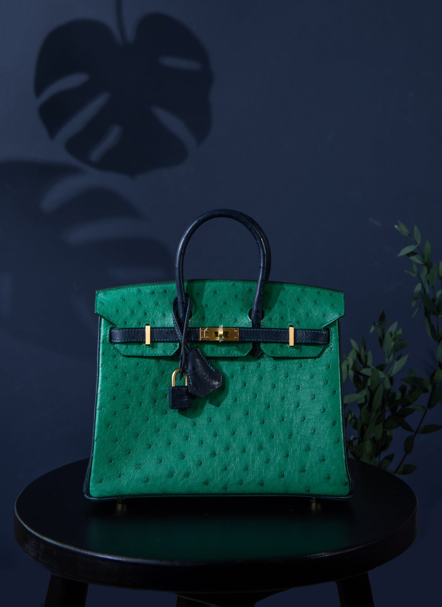 Hermès HSS Birkin 25 Ostrich Two Tone Vertigo/Blue Irish