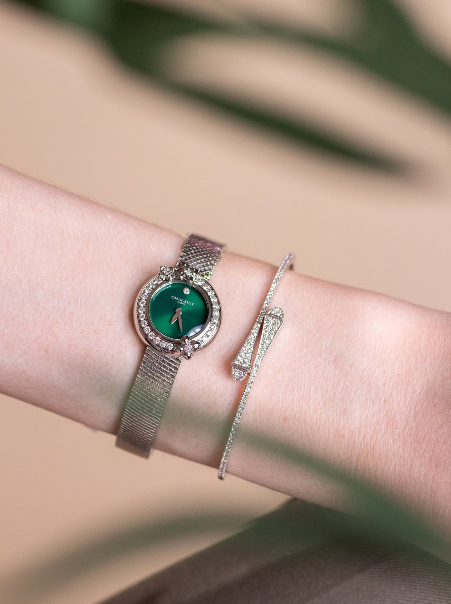 Chaumet Hortensia Eden Green Watch & Marli Cleo White Gold Full Diamond Slim Slip-On Bracelet