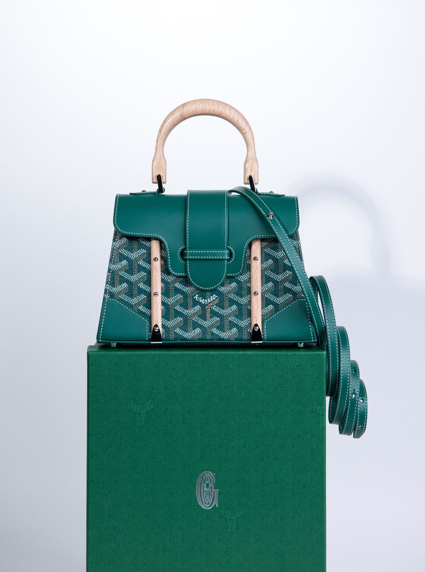 Goyard Saigon Structure Mini Bag in Green