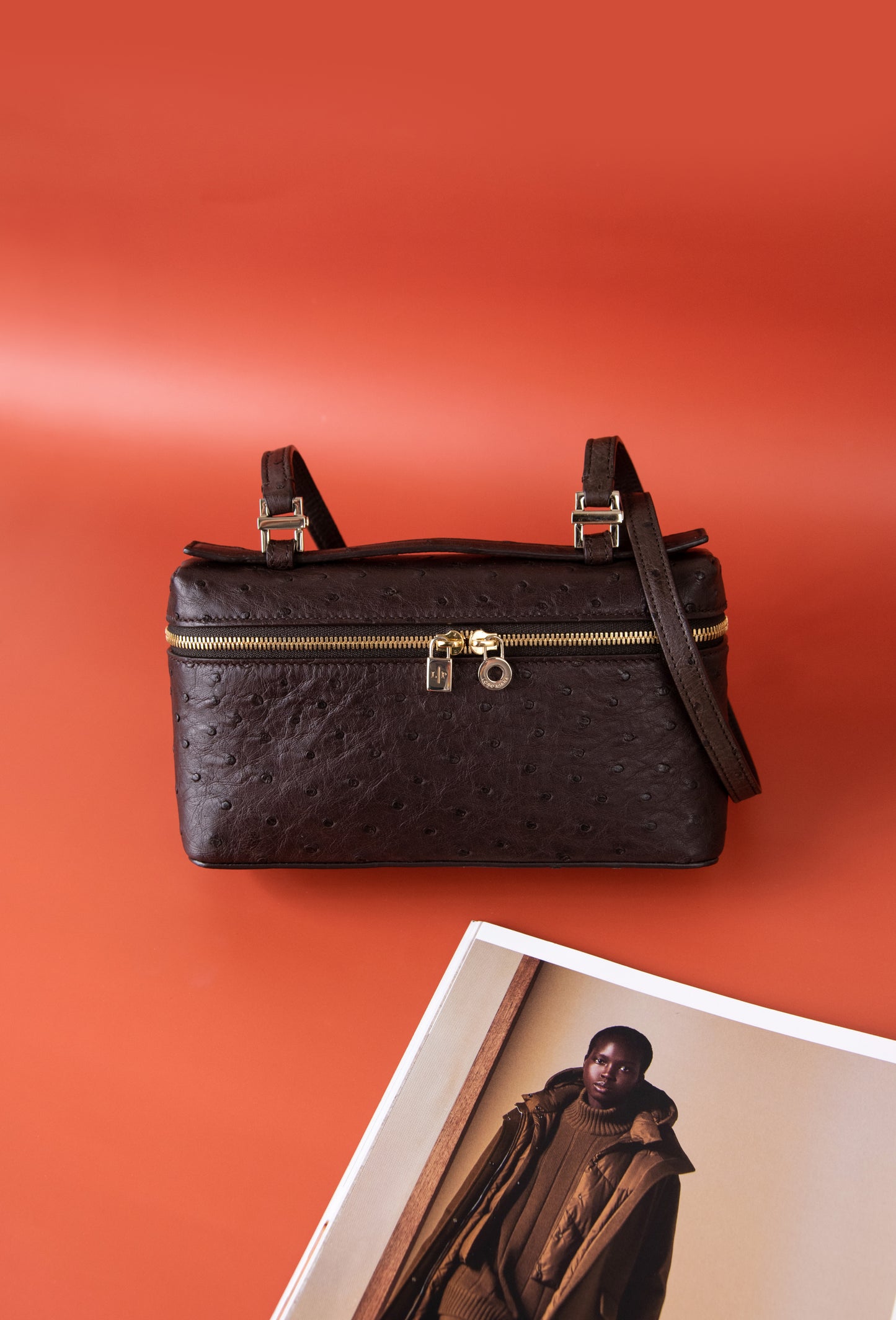 Loro Piana - Extra Pocket Pouch L19 in Brown Ostrich
