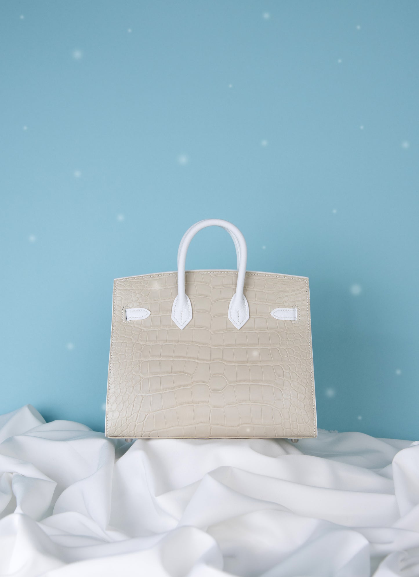 Hermès Birkin 20 Sellier Fauborg Snow PHW
