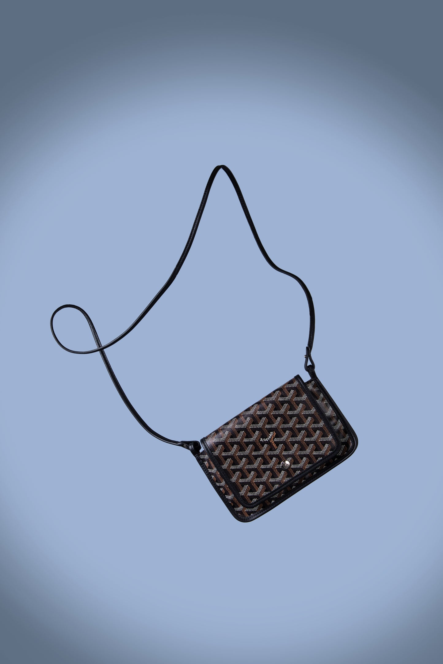 Goyard Plumet Bag in Black