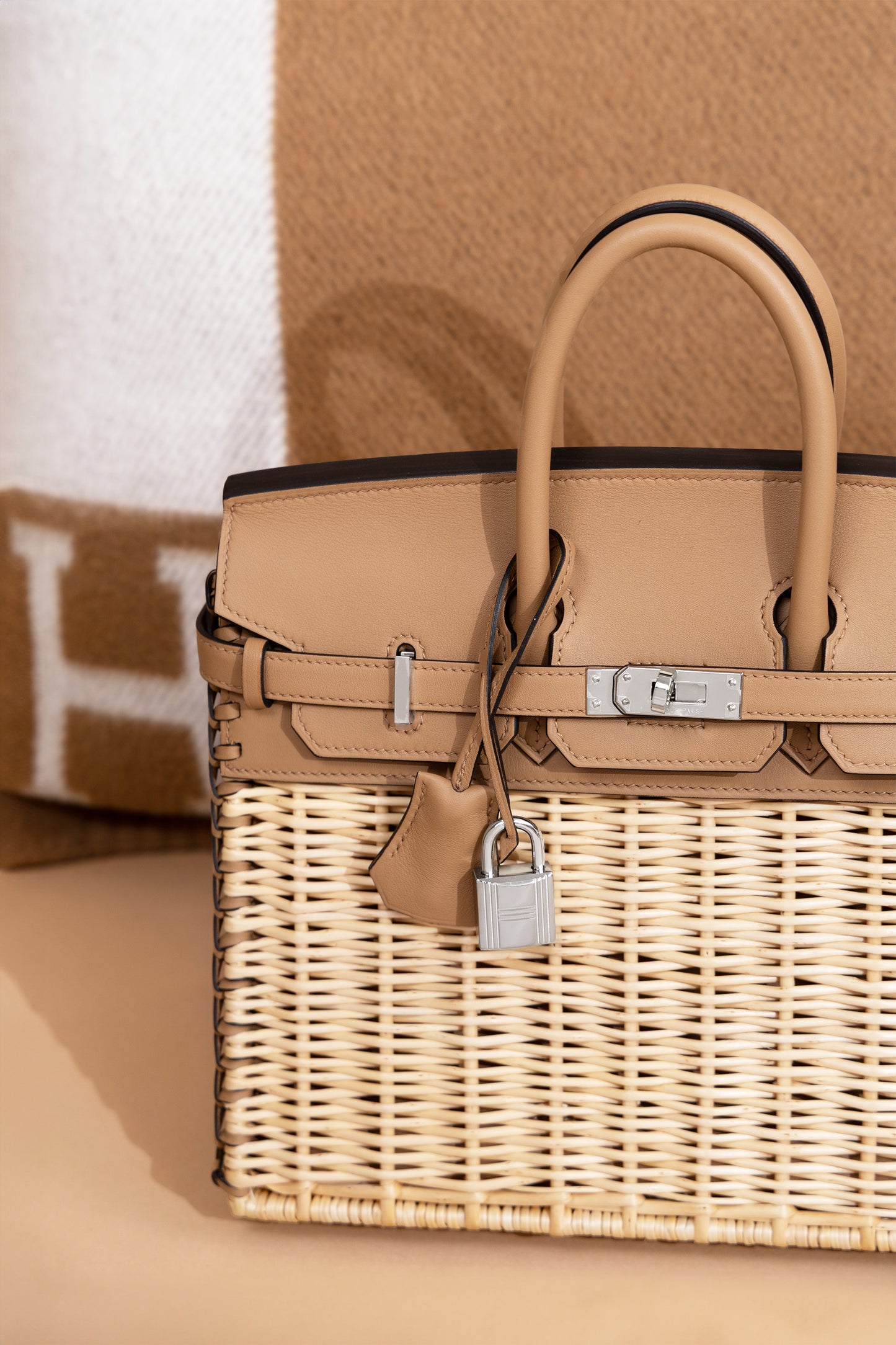 Hermès Birkin Picnic 25 in Naturel/Chai PHW