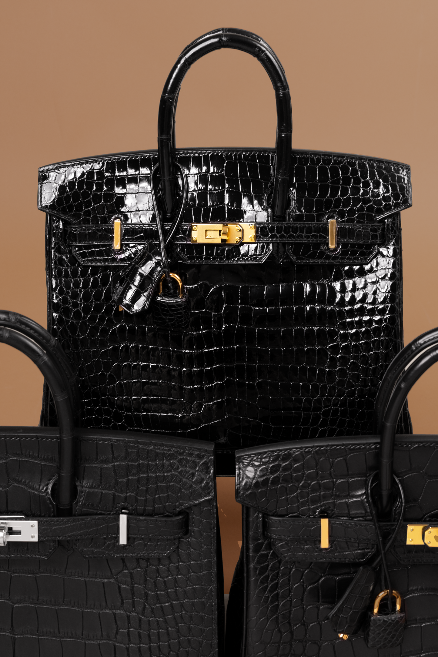 Hermès Birkin 25 Black in Matte Alligator & Shiny Crocodile