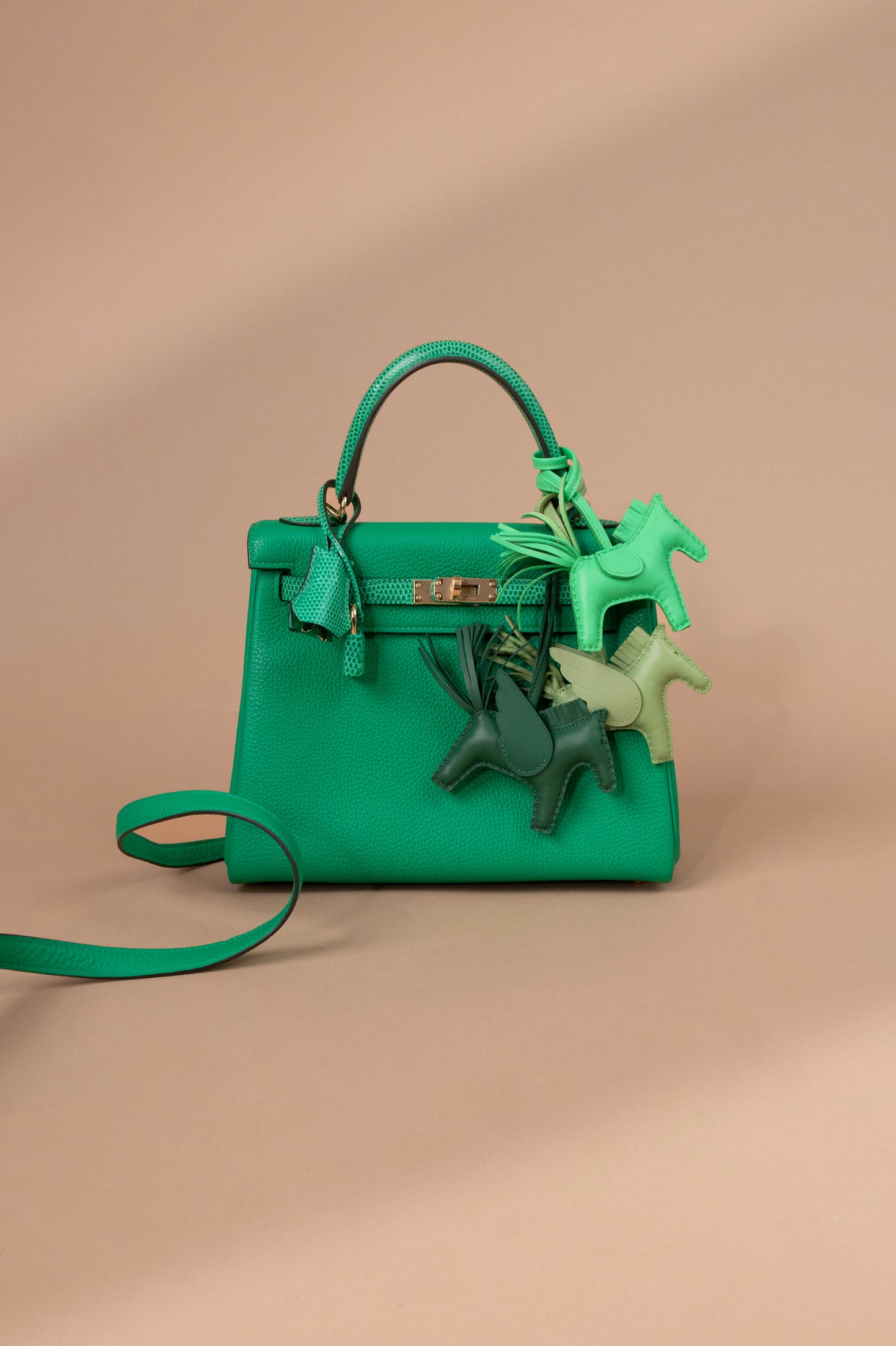 Hermès Kelly 25 Togo Touch Lizard in Menthe GHW