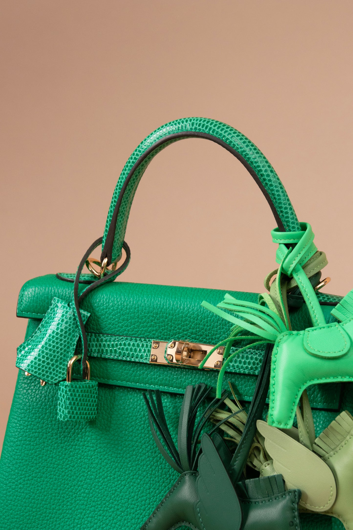 Hermès Kelly 25 Togo Touch Lizard in Menthe GHW