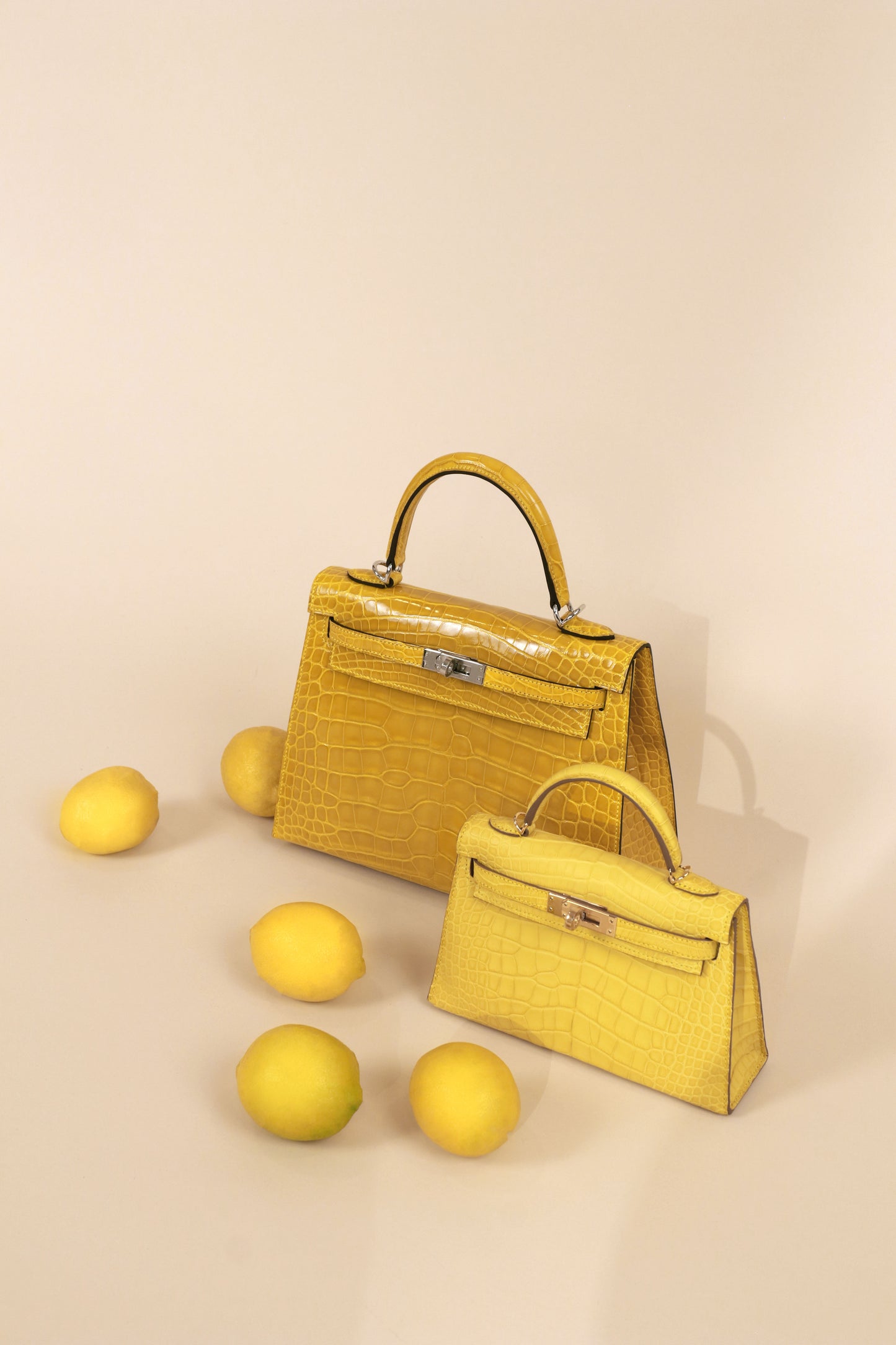Hermès Shiny Kelly 25 & Mini Kelly 20 Matte Alligator Mimosa PHW