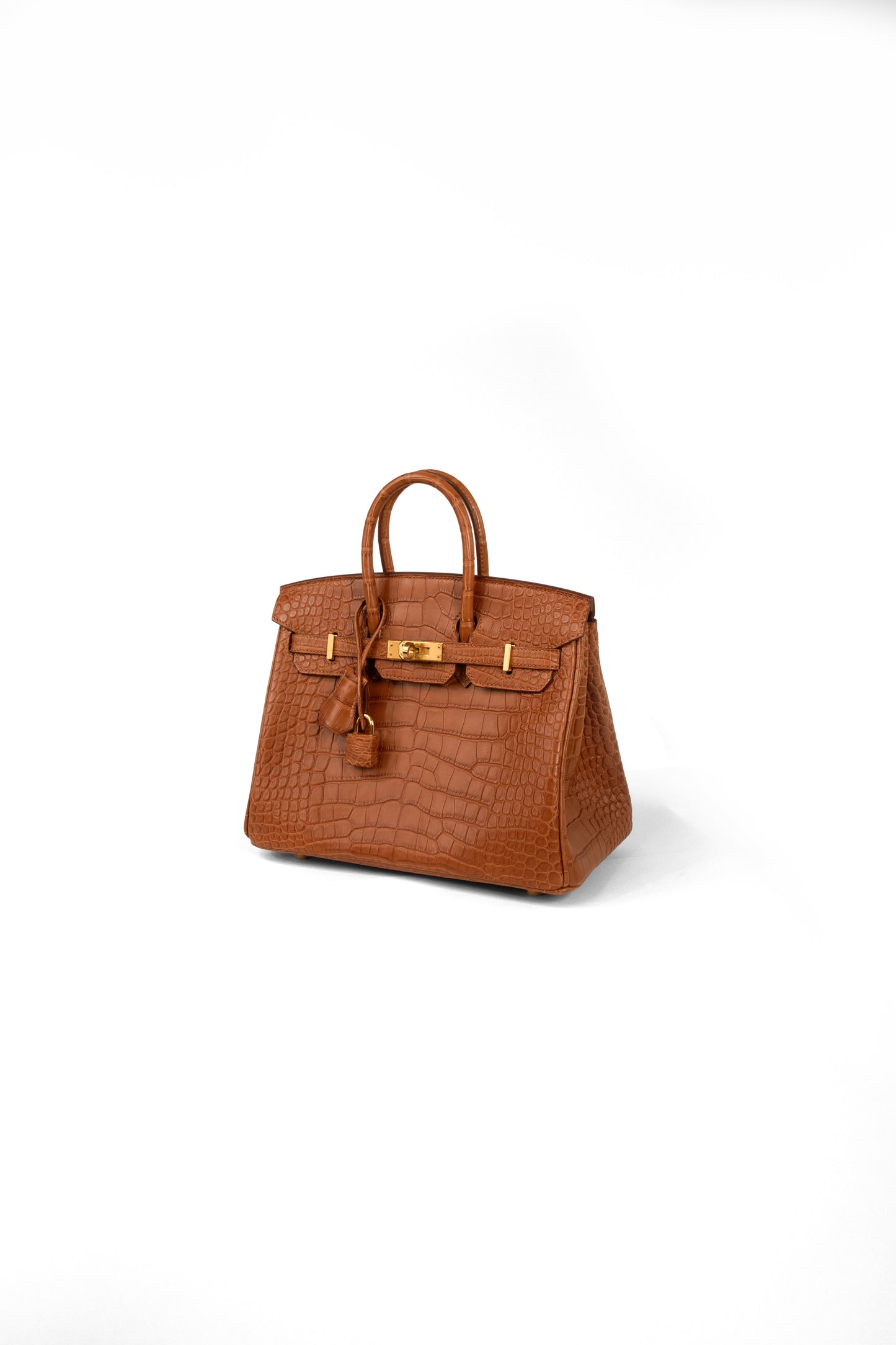 Hermes Birkin 25 Crocodile matte Gold GHW