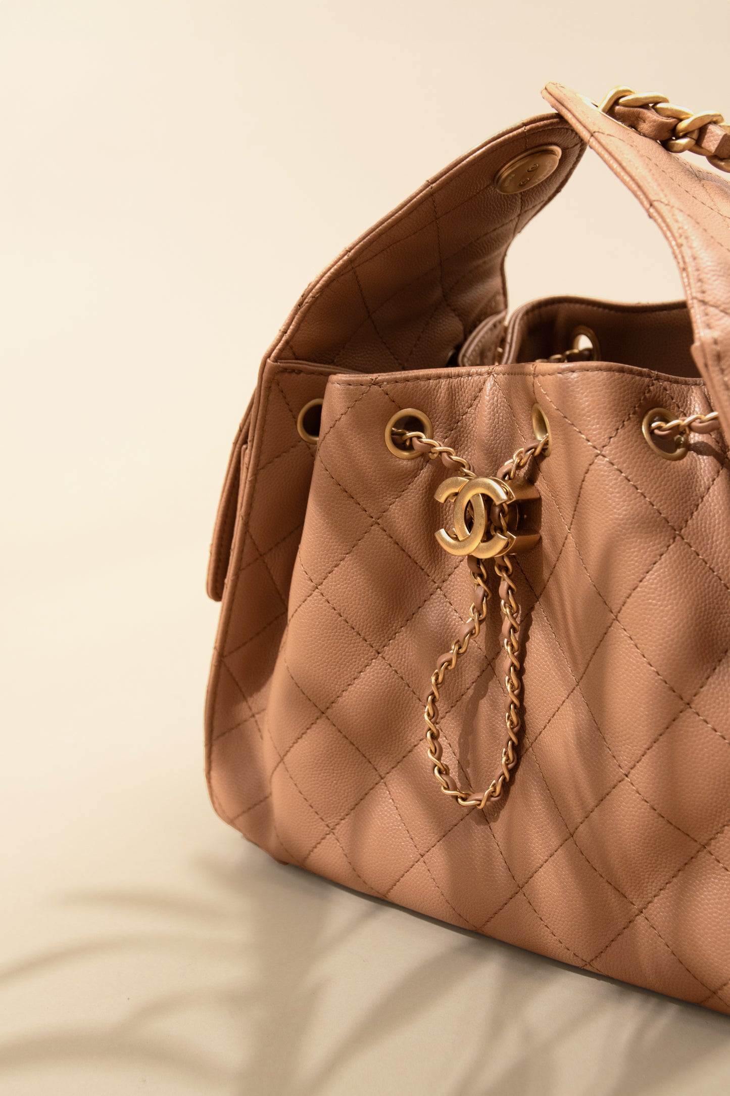 Chanel Hobo 25 Bag in Caramel with Hermès Caftan