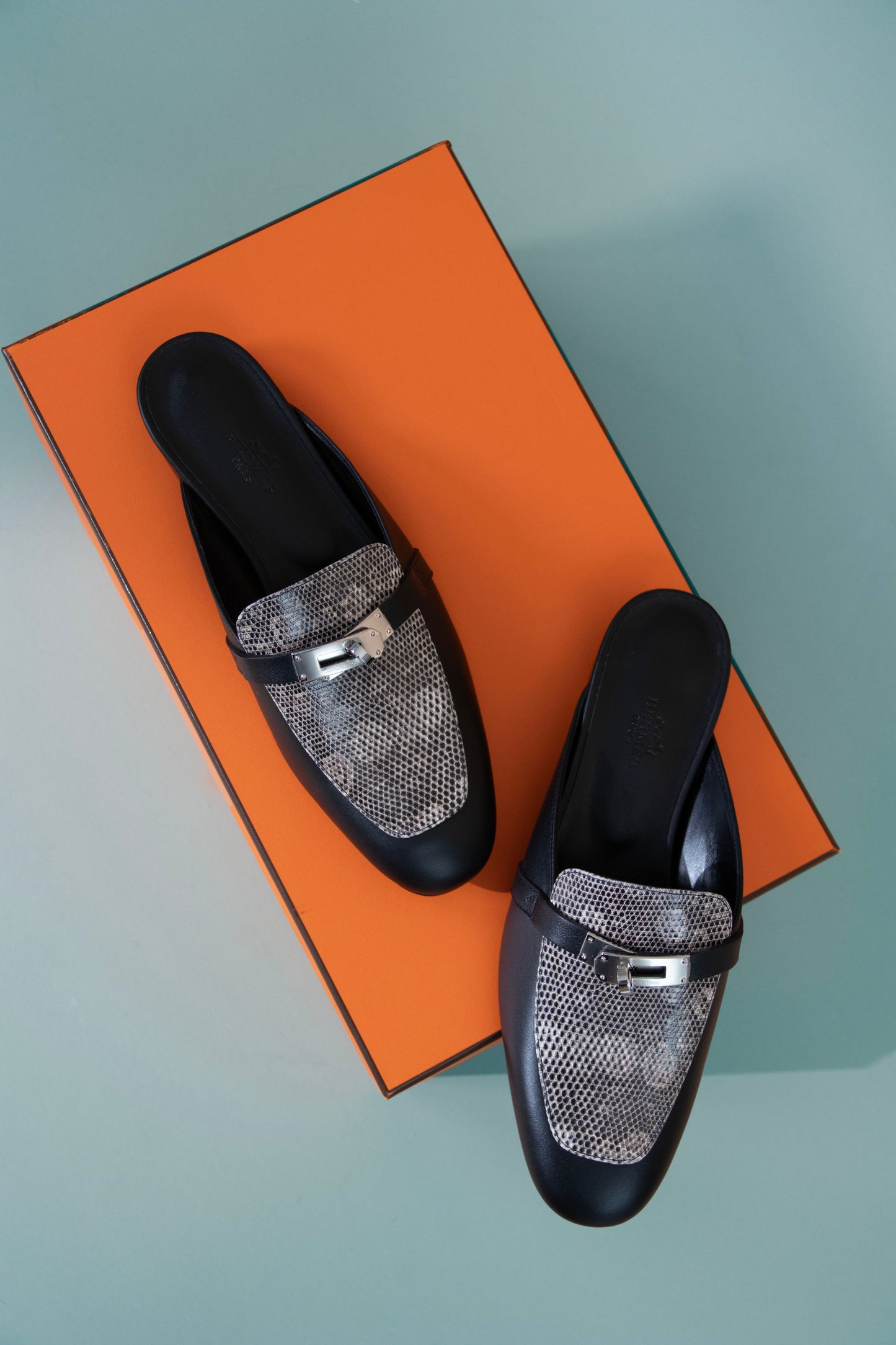 Hermès Oz Mules in Lizard Ombré/Black PHW