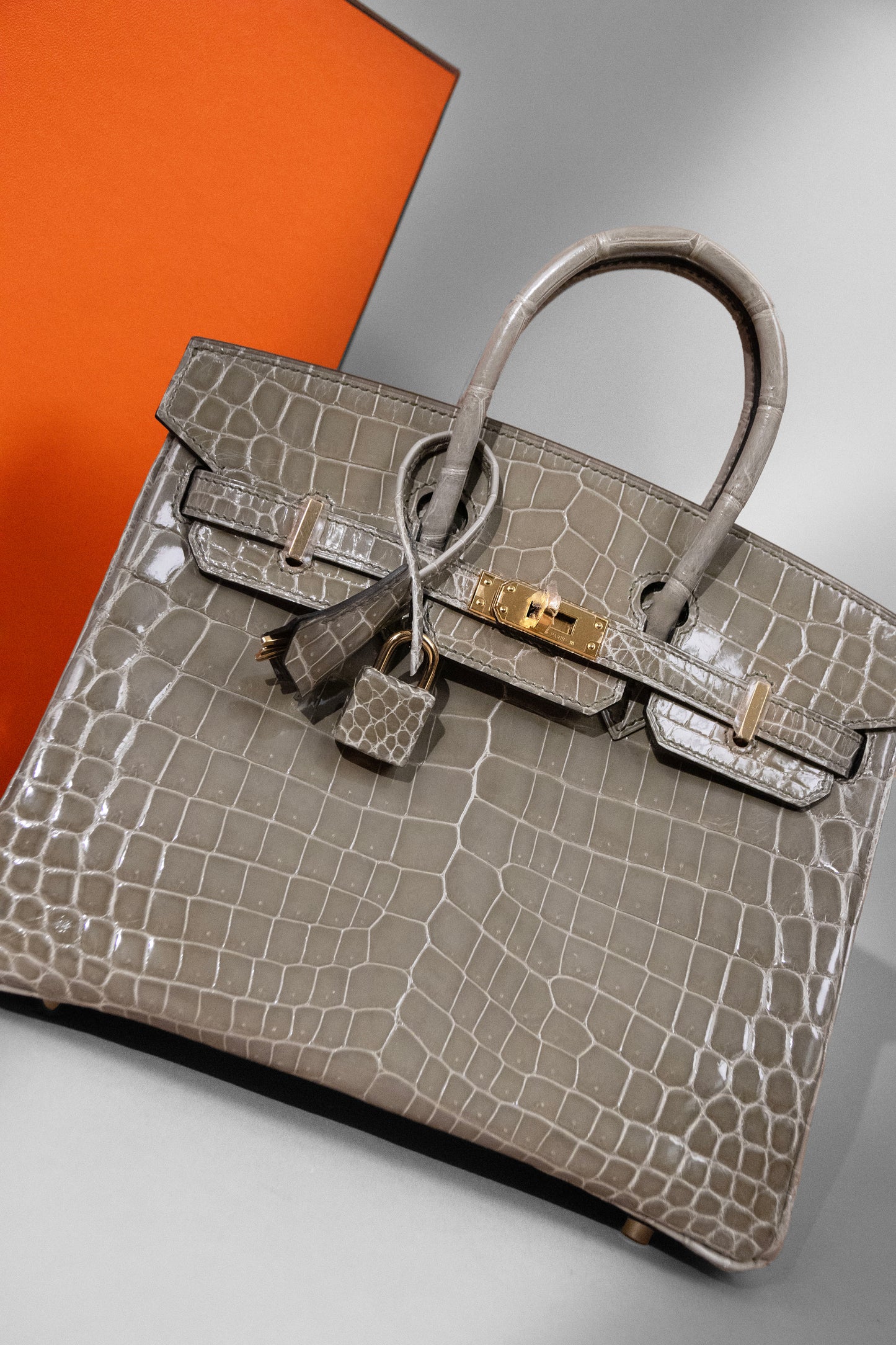 Hermès Birkin 25 Shiny Crocodile Gris Tourterelle GHW
