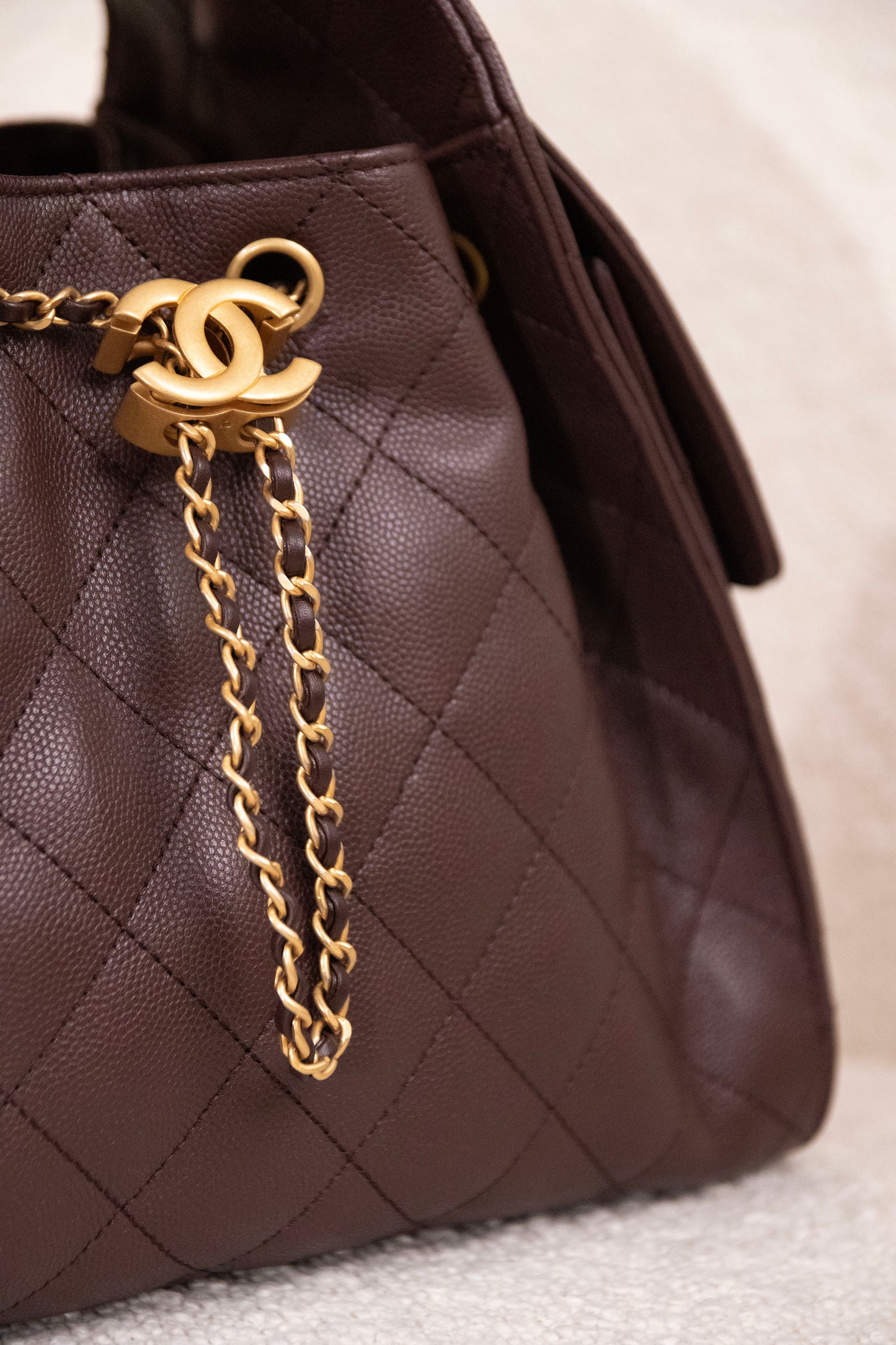 Chanel Hobo 25 Brown Bag