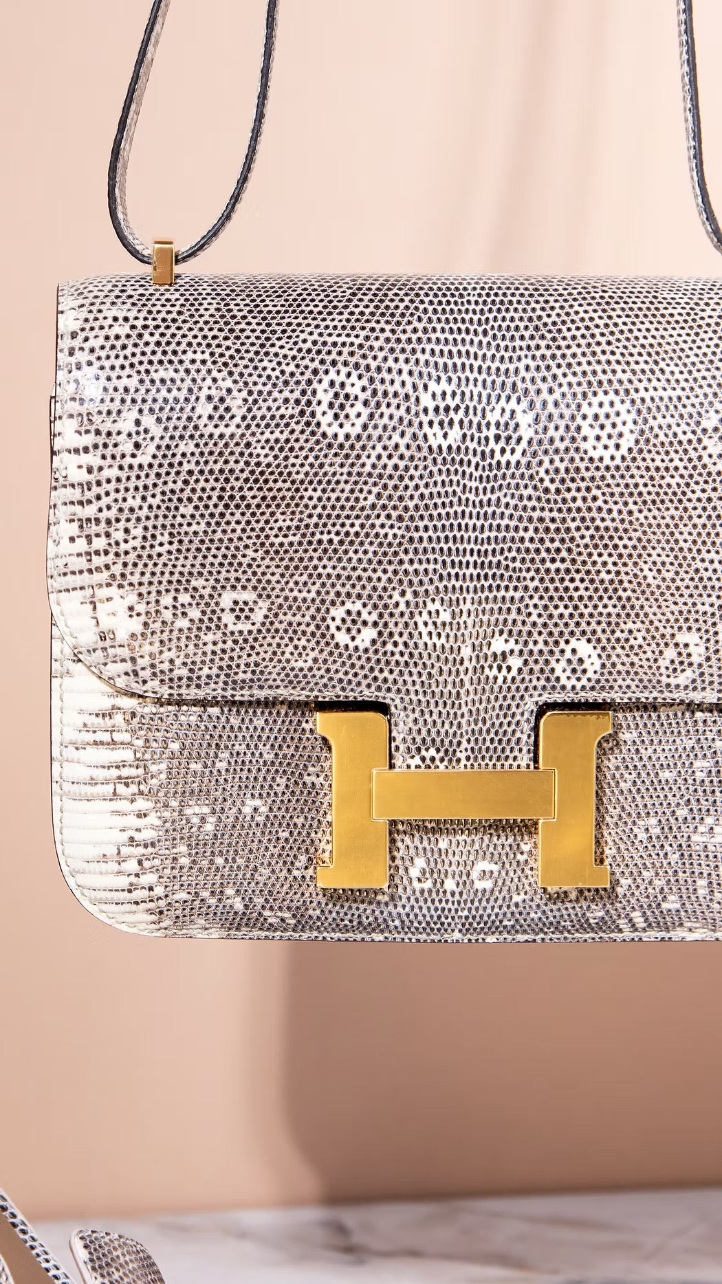 هيرميس Rare Ombré Lizard Constance Mini 18 GHW