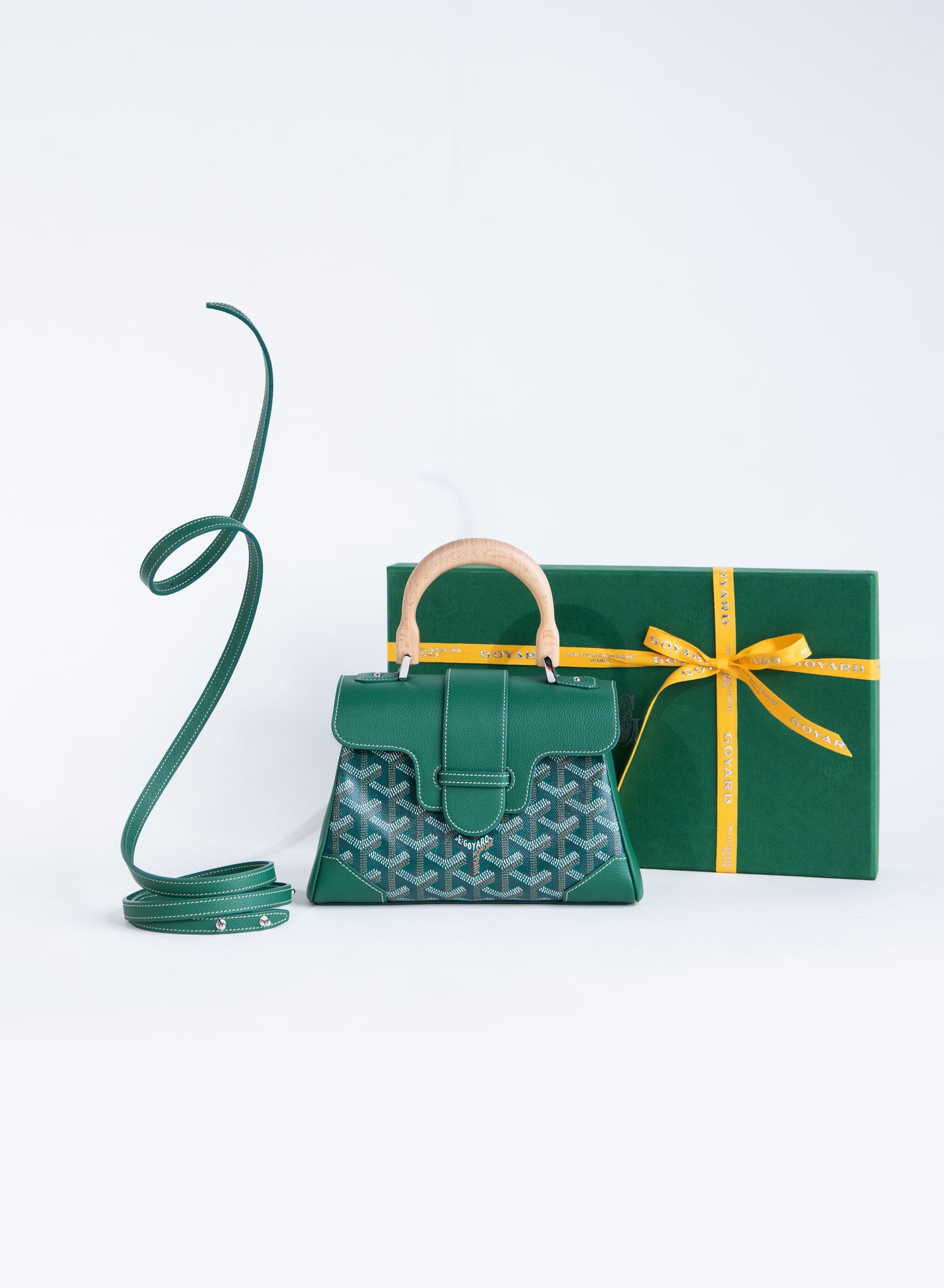Goyard Saigon Structure Mini Bag in Green