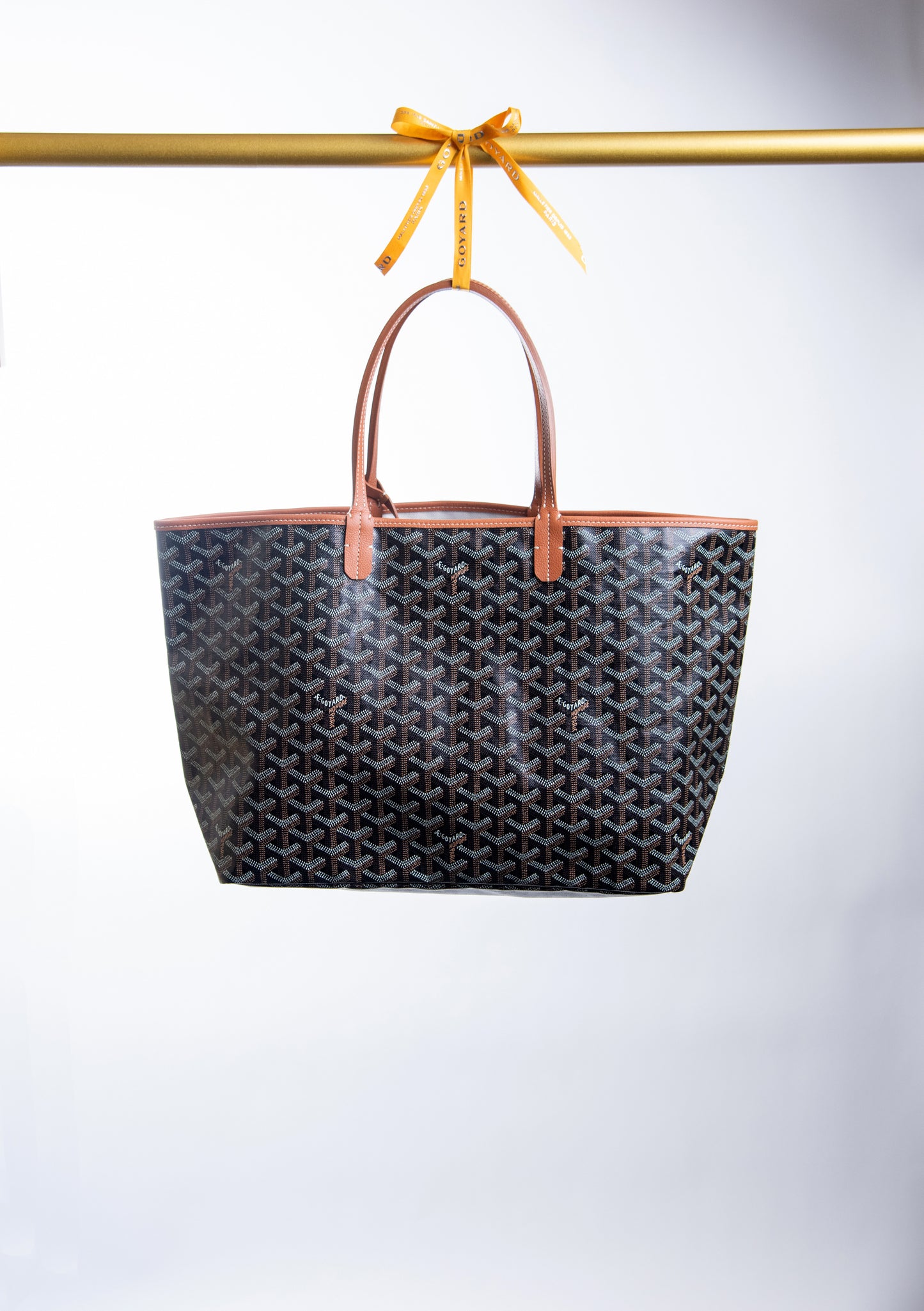 Goyard Saint Louis PM Bag in Black & Tan