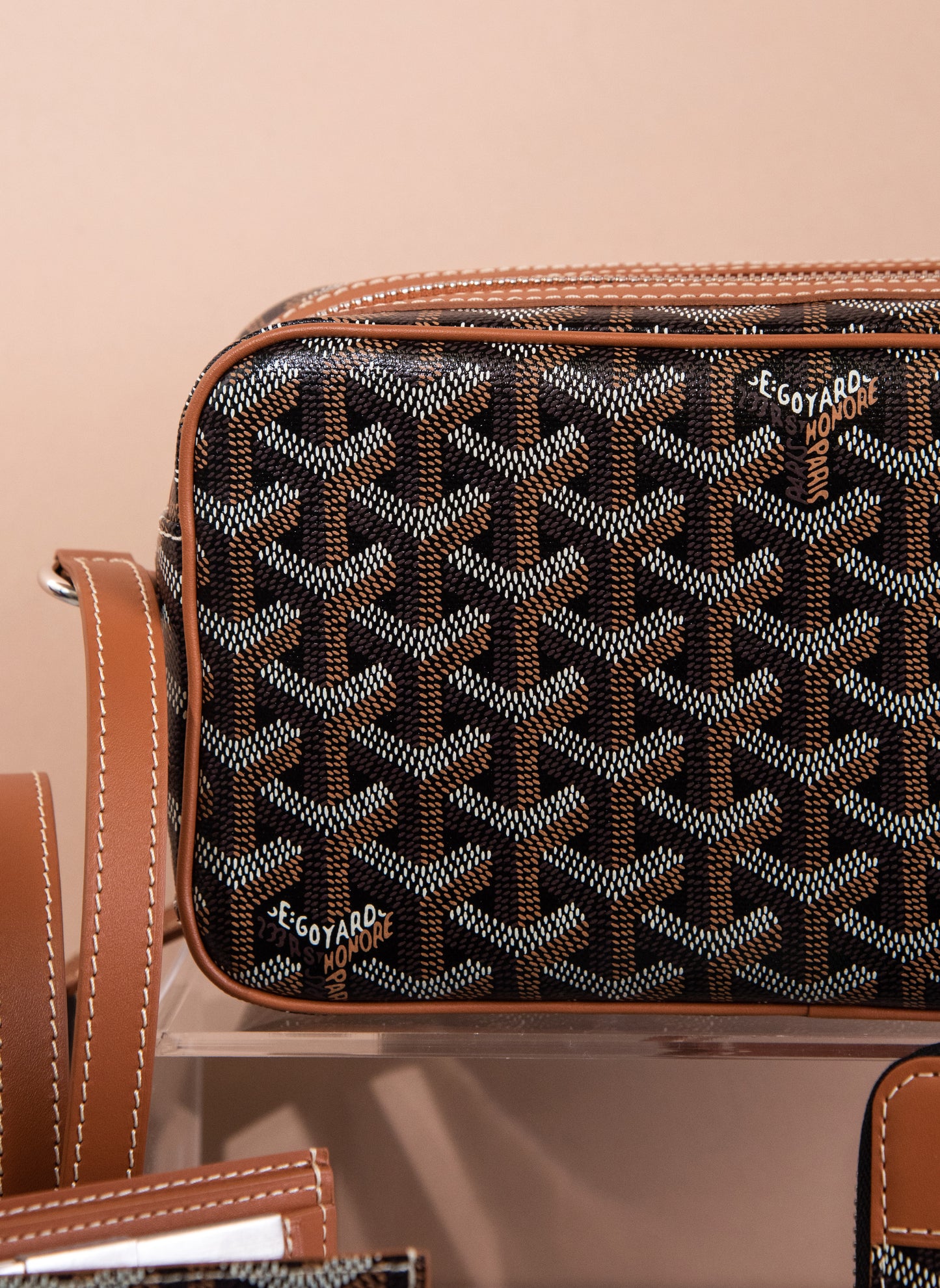 Goyard Cap-Vert PM Bag in Black/Tan