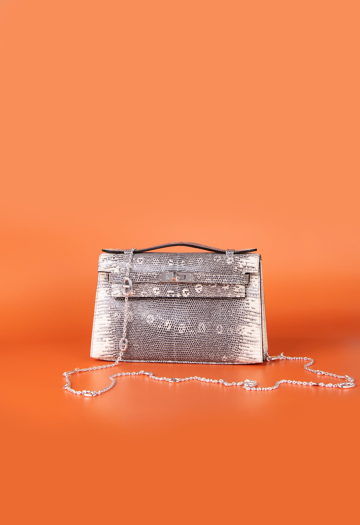 Hermès - Kelly Pochette in Ombré Lizard PHW