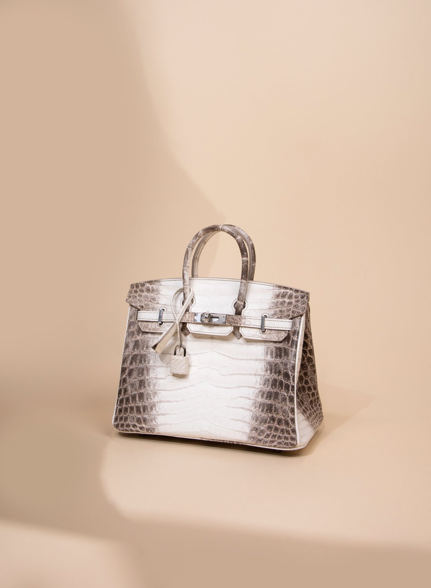 Hermès Birkin 25 Himalaya PHW