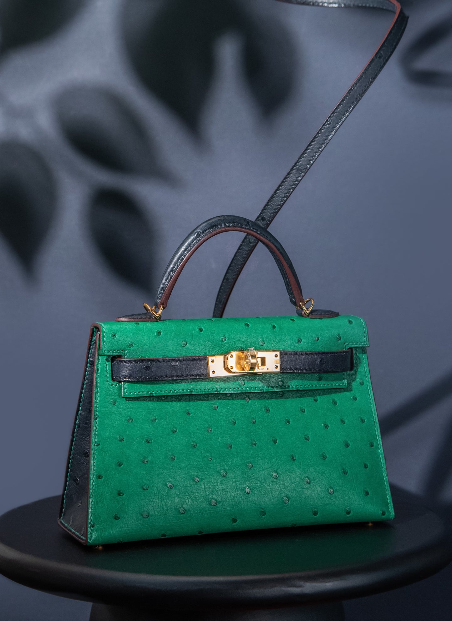 هيرميس HSS Mini Kelly 20 Ostrich Vert Vertigo/Blue Iris GHW