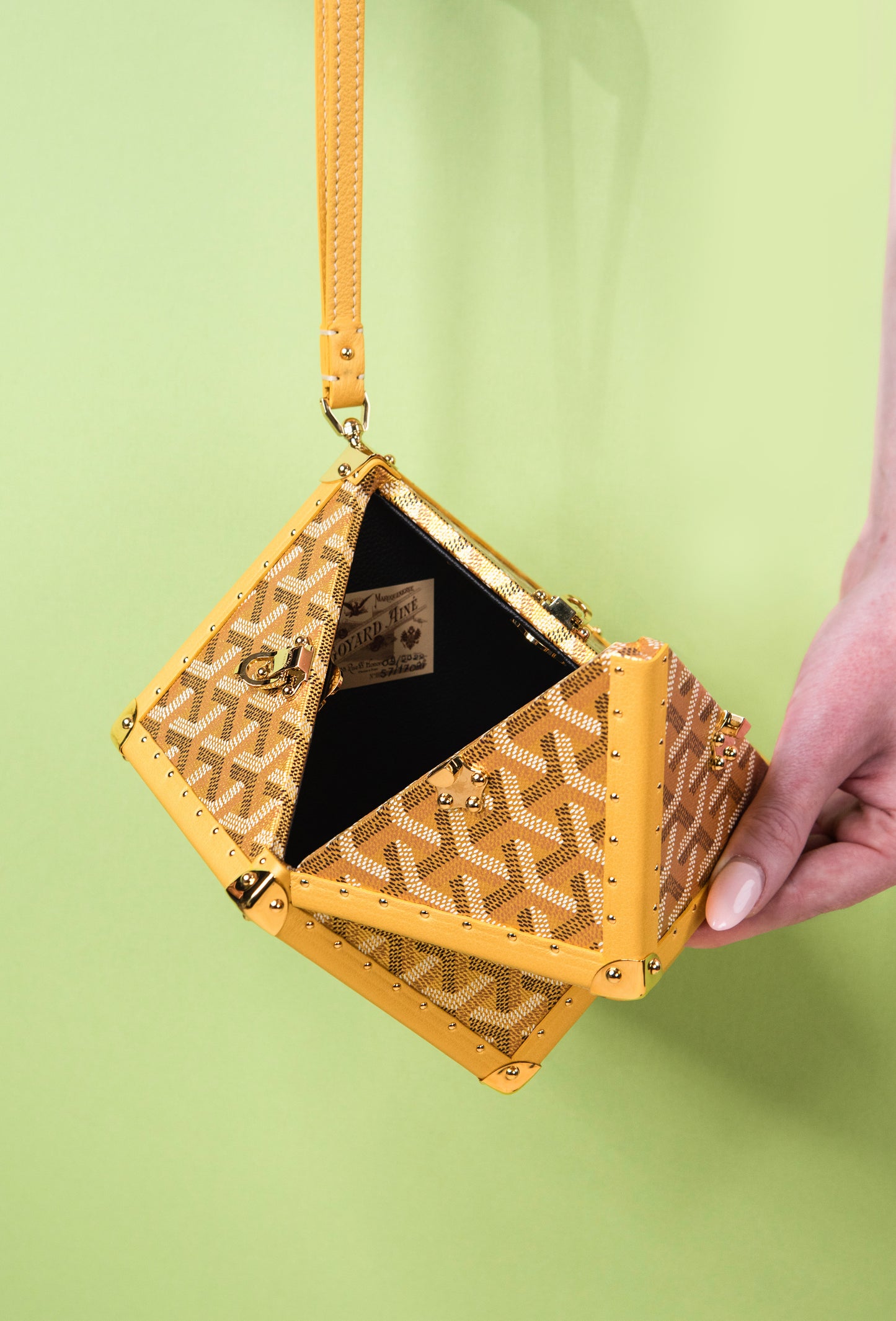 Goyard Sac Malle Dé in Yellow