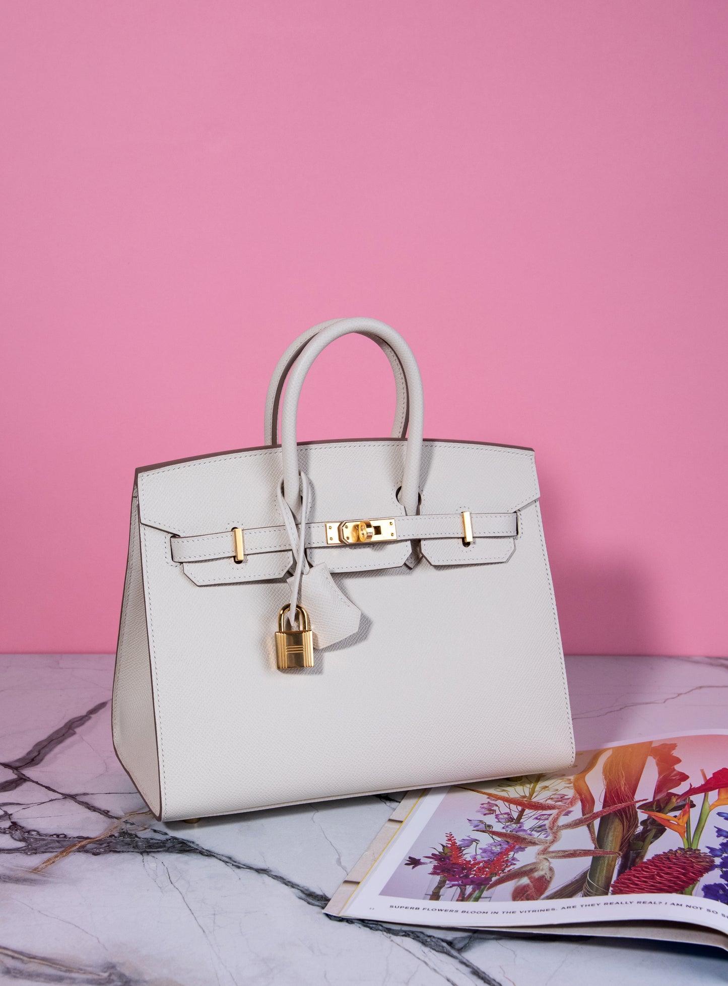 Hermès Birkin 25 Epsom in Nata GHW