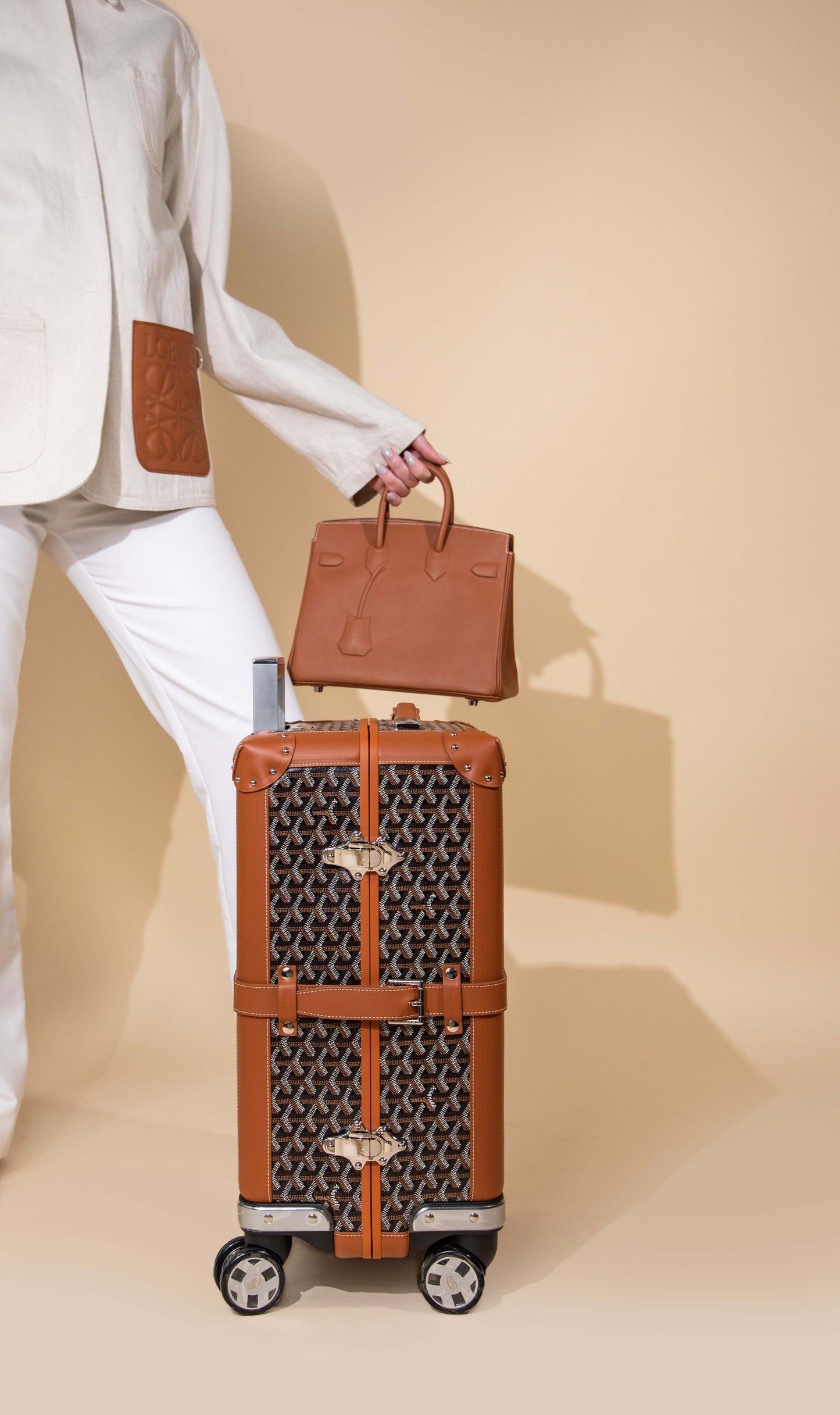Hermès Birkin 25 Shadow with Goyard Bourget PM Trolly Case