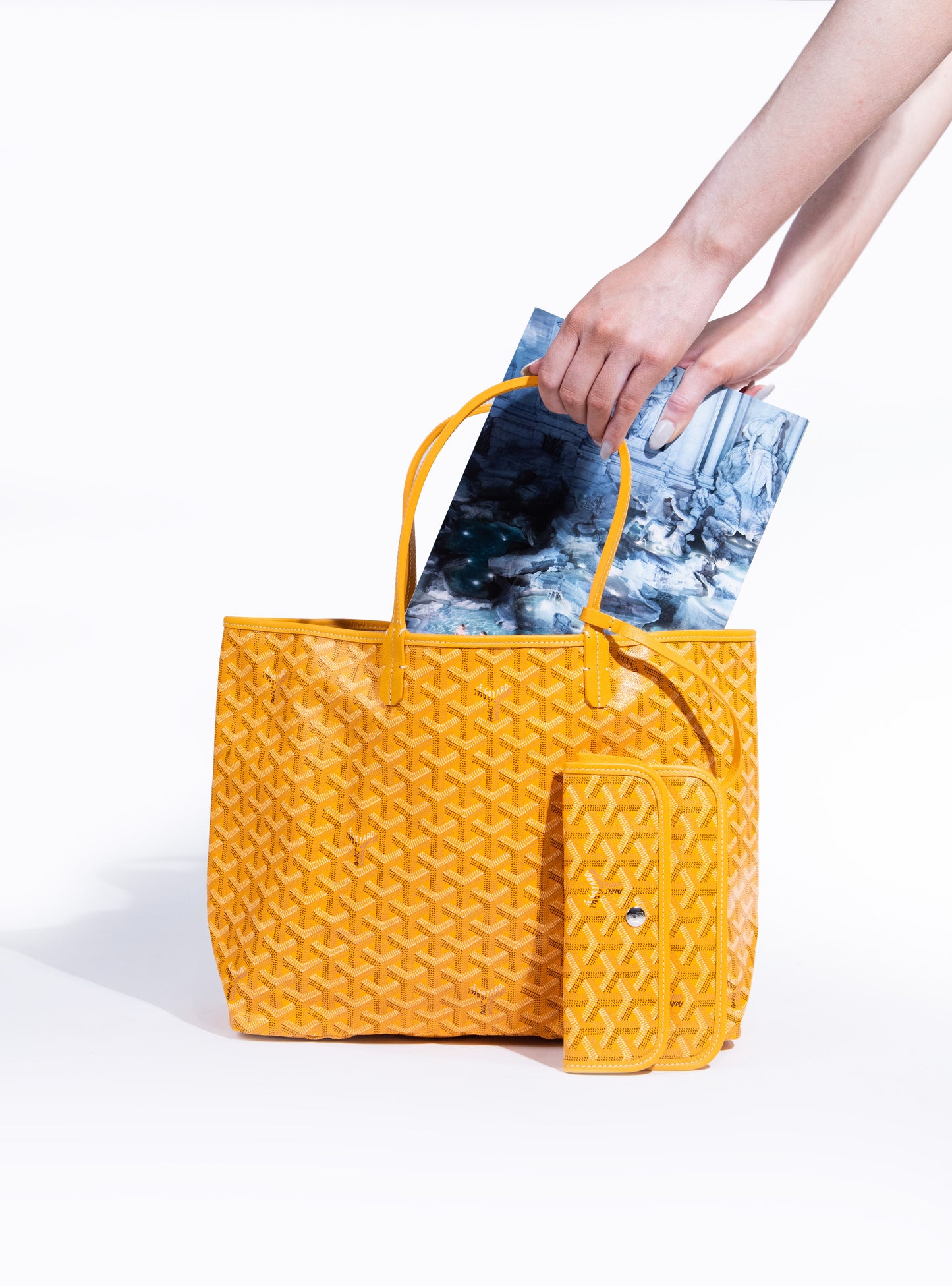 Goyard Saint Louis PM Bag in Yellow