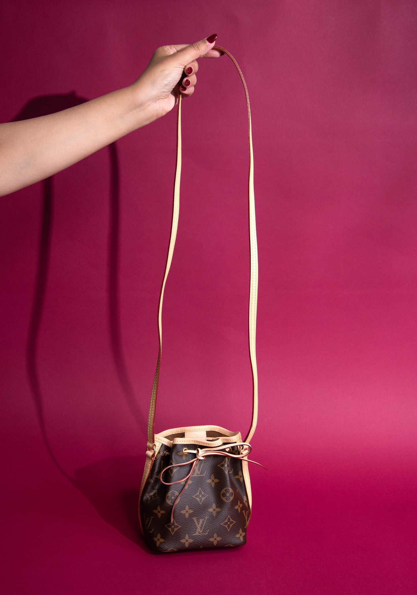 Louis Vuitton Monogram Mini Bucket Bag