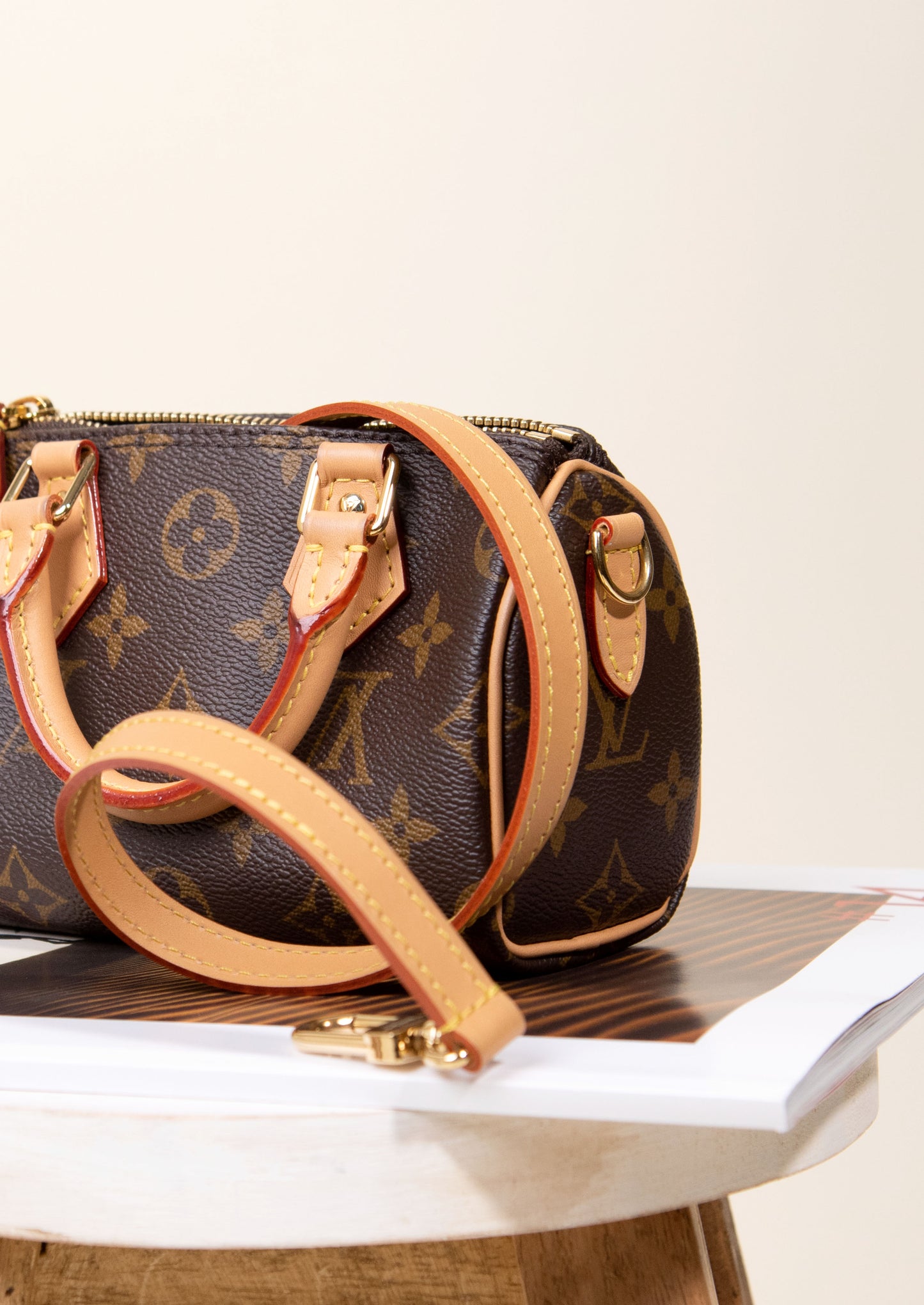 Louis Vuitton Monogram Nano Speedy Bag