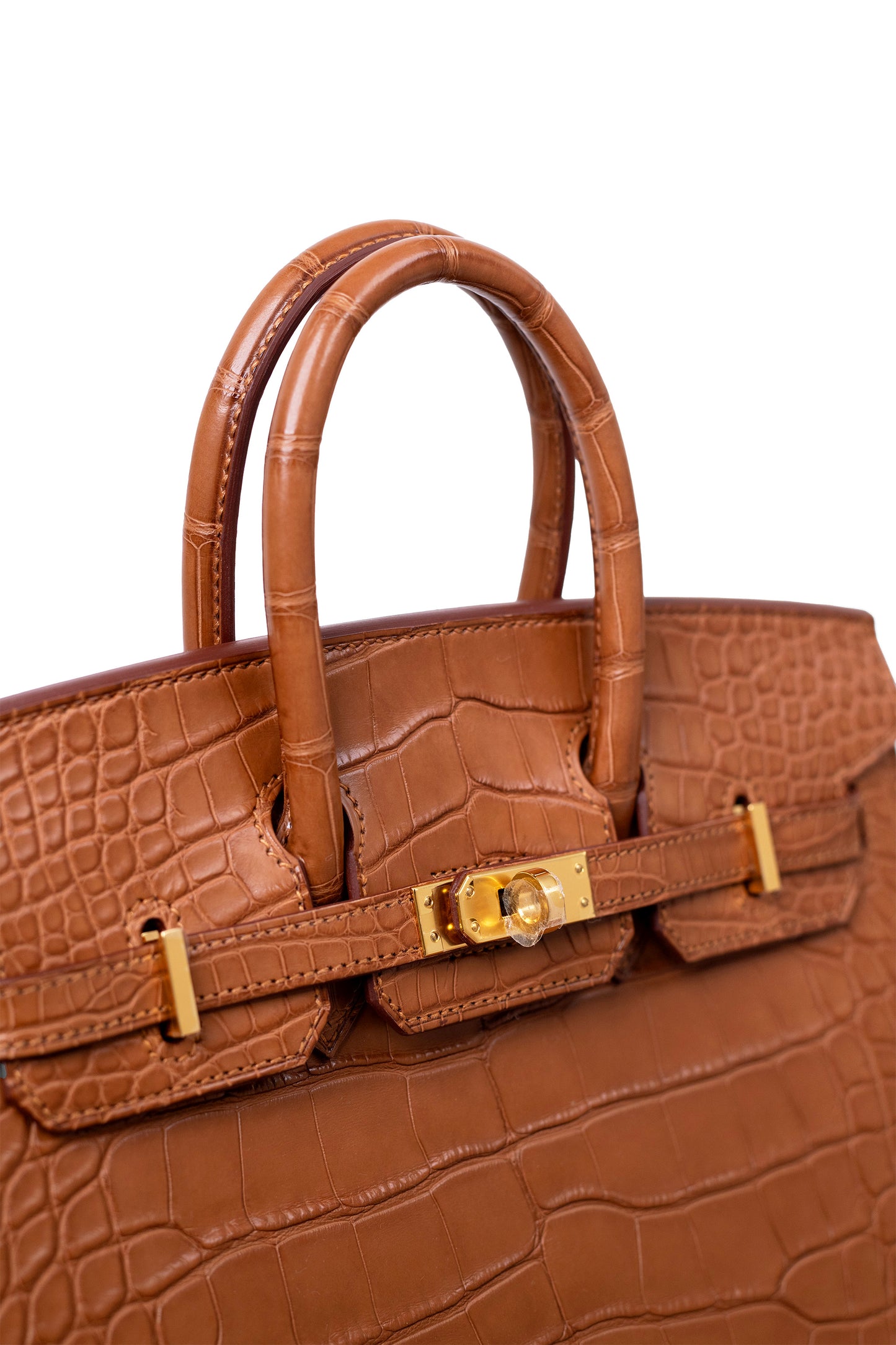 Hermés Birkin 25 Matte Alligator Gold GHW